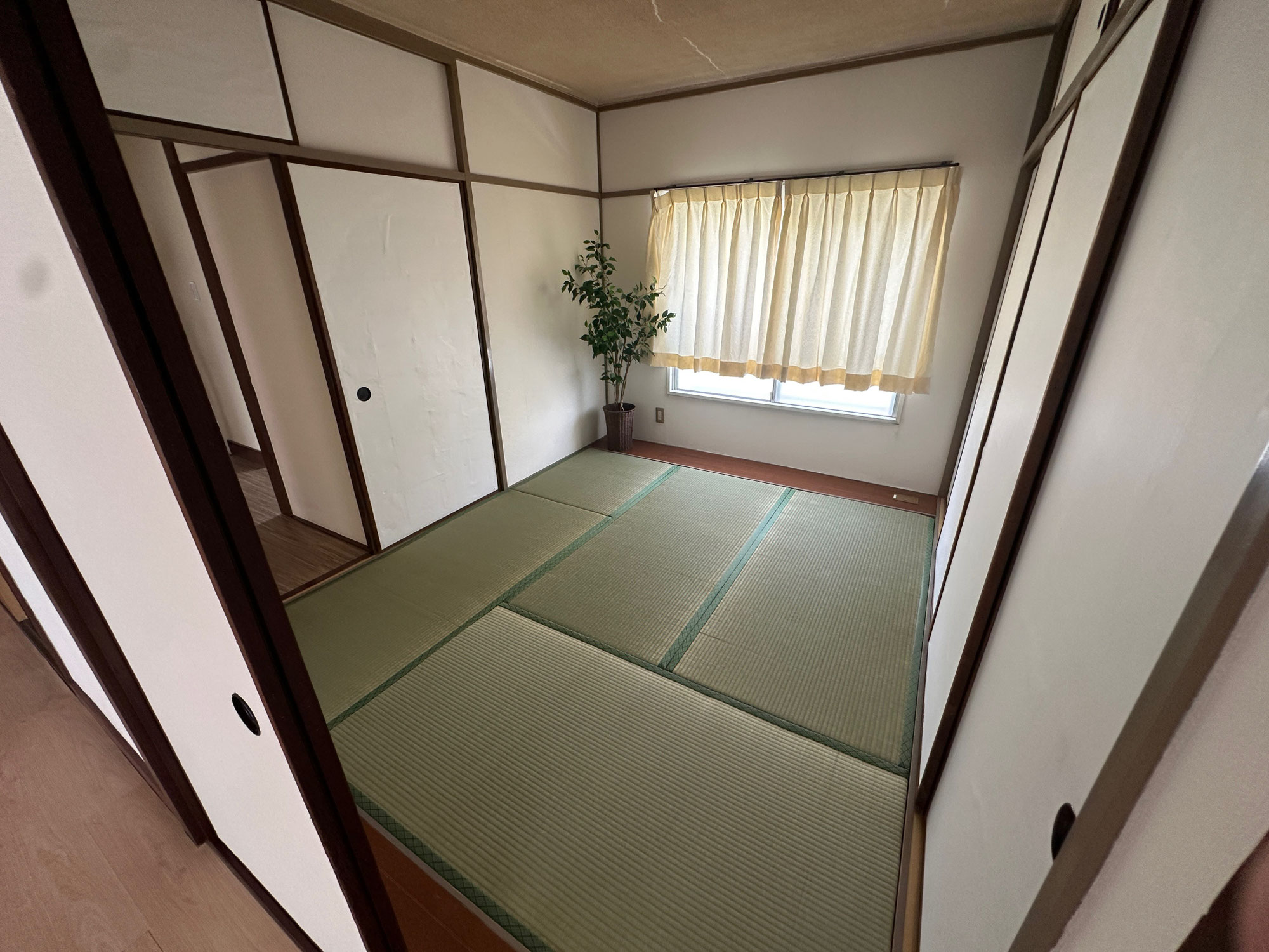 お盆休みはハヤブサ…何でもない( *´艸｀)
