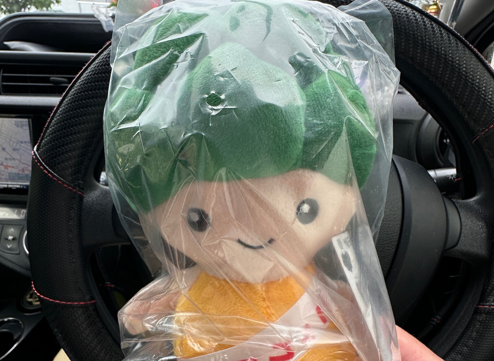 河内長野市はモックル( *´艸｀)