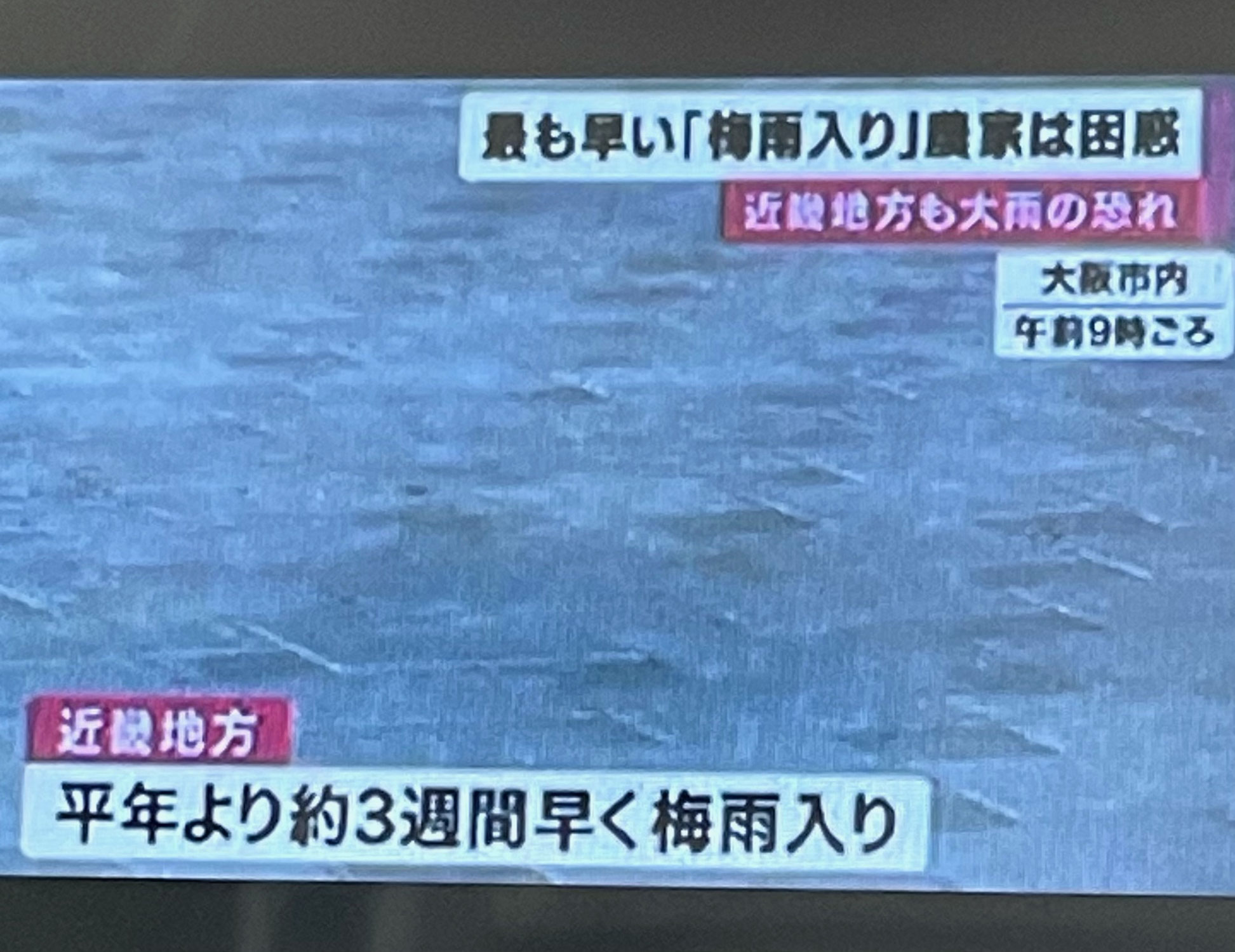 2021年梅雨入り(-_-;)