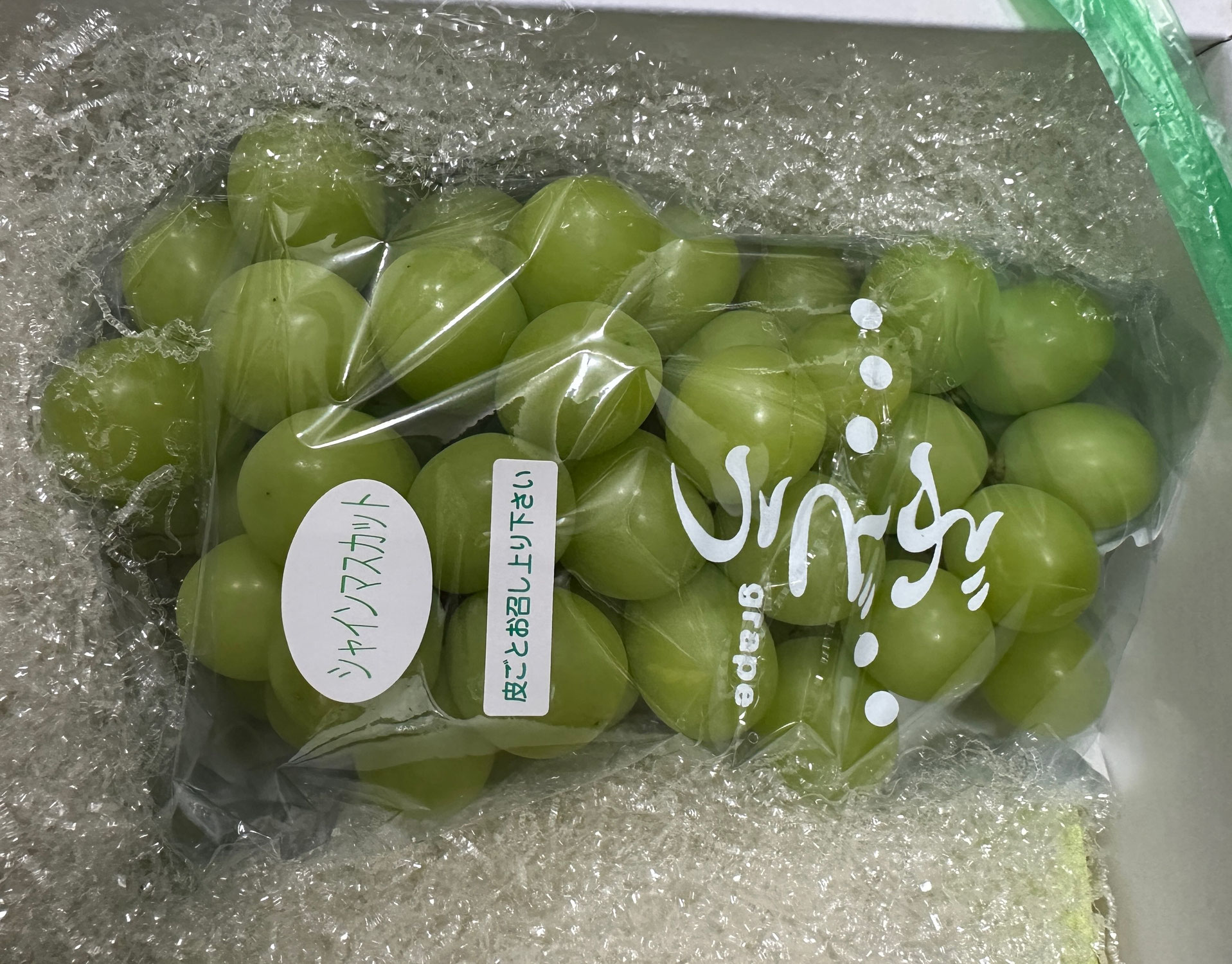 息子の初関西万博の巻(￣▽￣;)