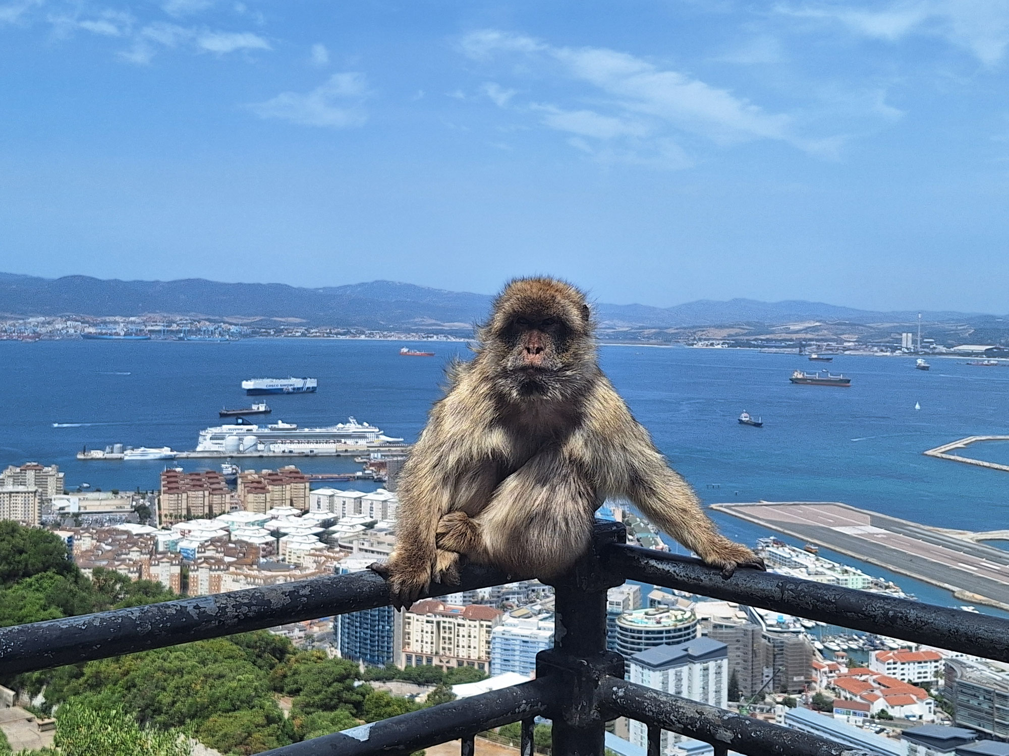 Gibralter! Ziel erreicht!