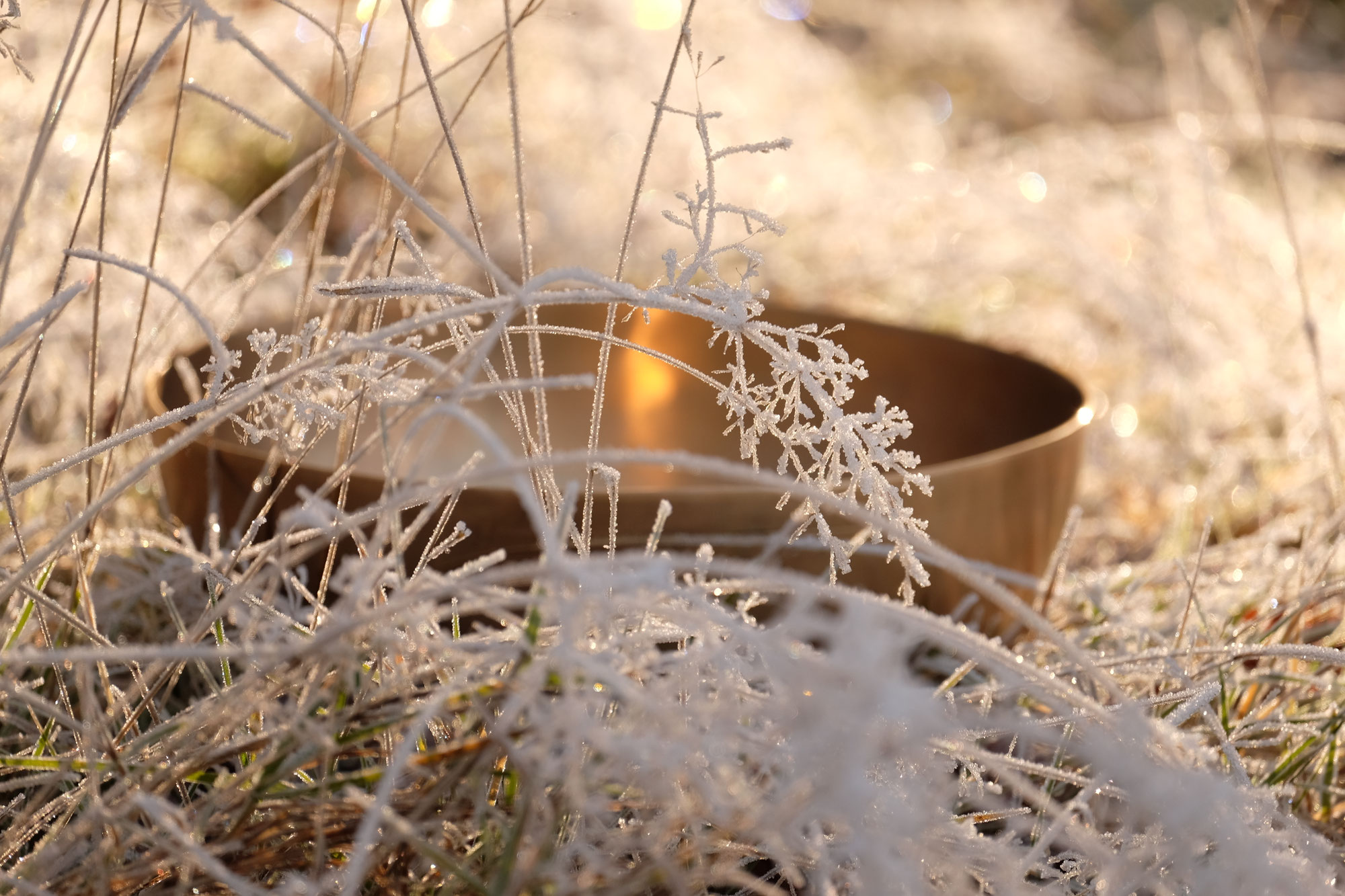 RetreatAbend mit Achtsamkeit, Yoga & Klang zur Wintersonnwende