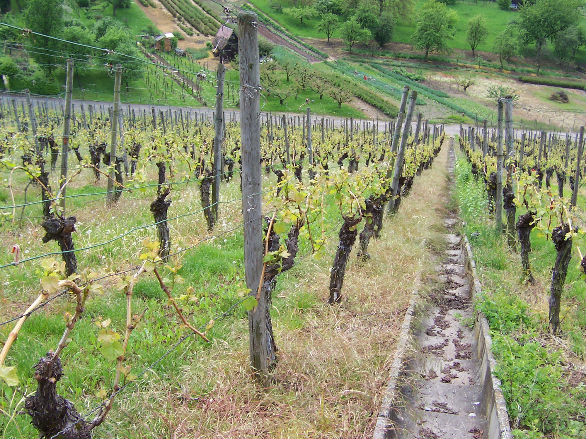 Spitzengastronomie einer Familie - Troigrois