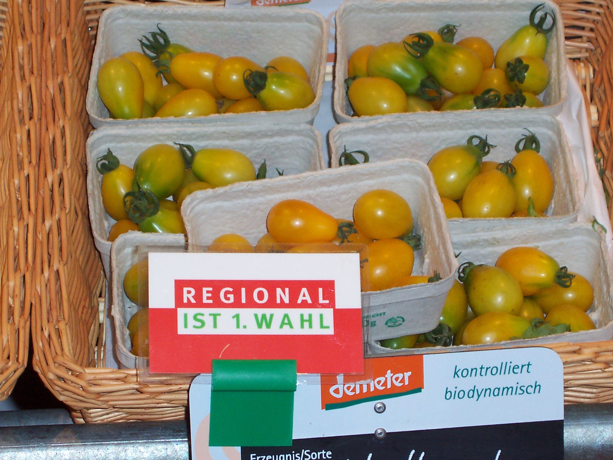 Chicoreé-Suppe mit Speckwürfeln