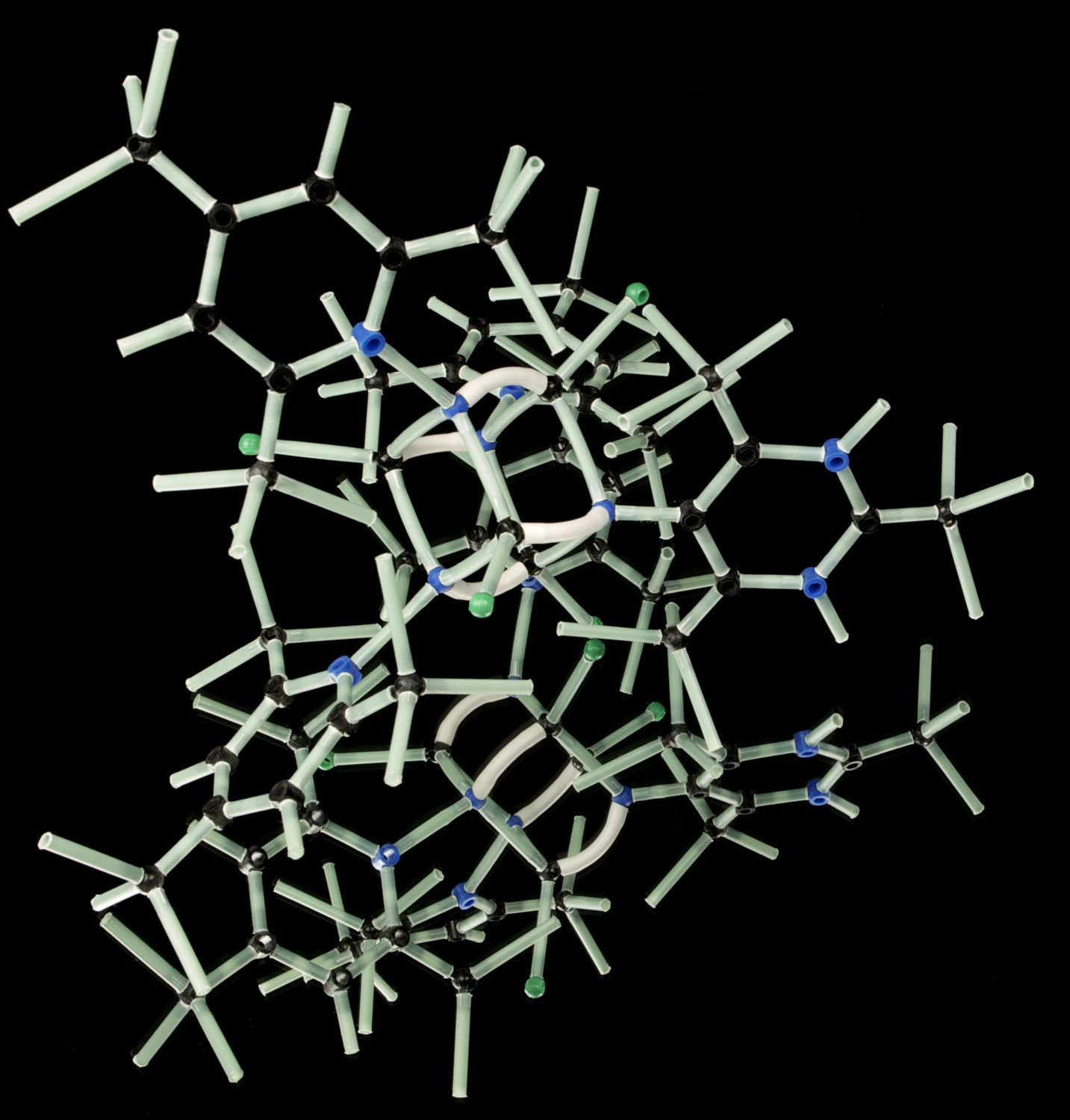 医学部進級対策　遺伝　分子生物学　DNA複製（レプリソーム）