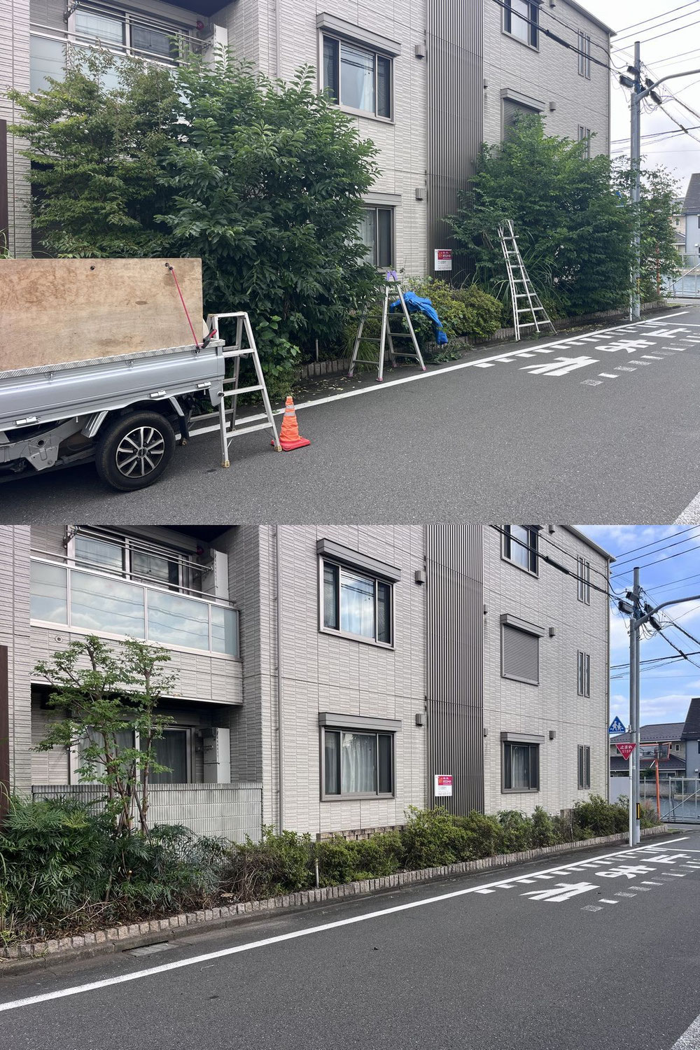 【立川市】マンションの視界を塞ぐ庭木を伐採！道路標識もスッキリクッキリ！