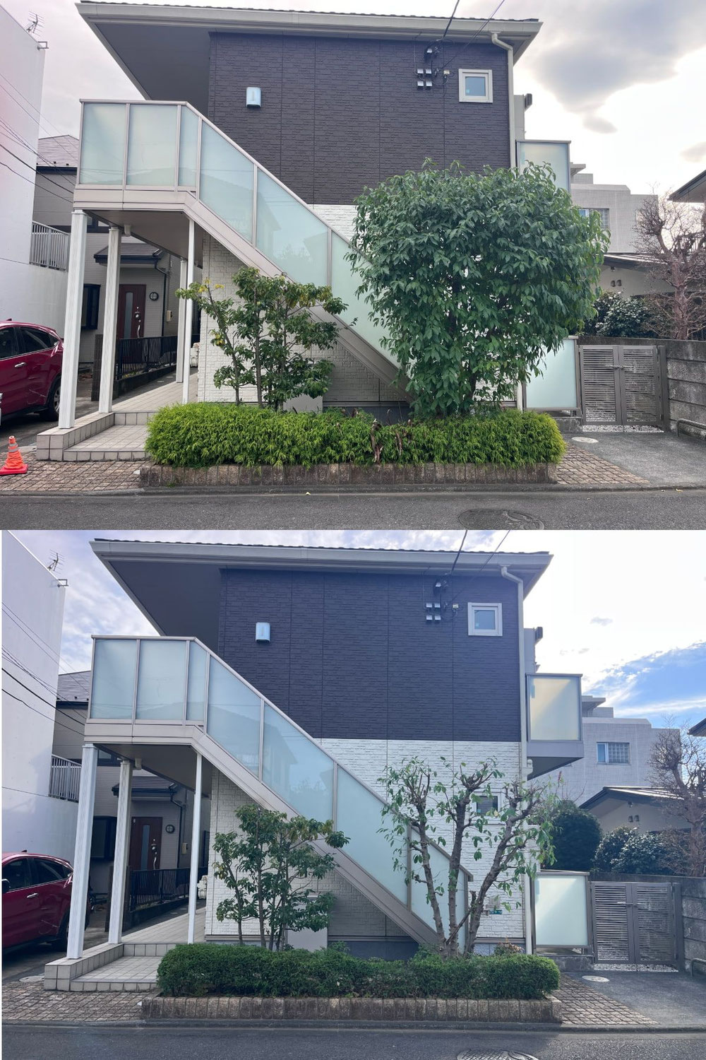 【相模原市】階段にかかるヤマボウシと、元気のないソヨゴのメンテナンス！