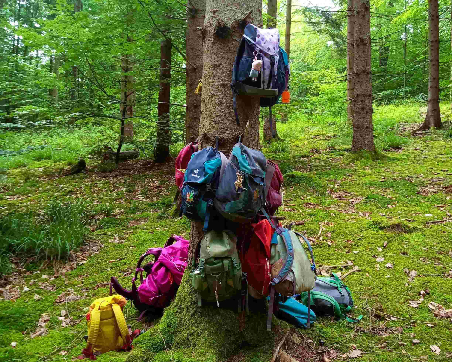 Rucksack für den Waldkindergarten: Größe, Tipps und bewährte Modelle