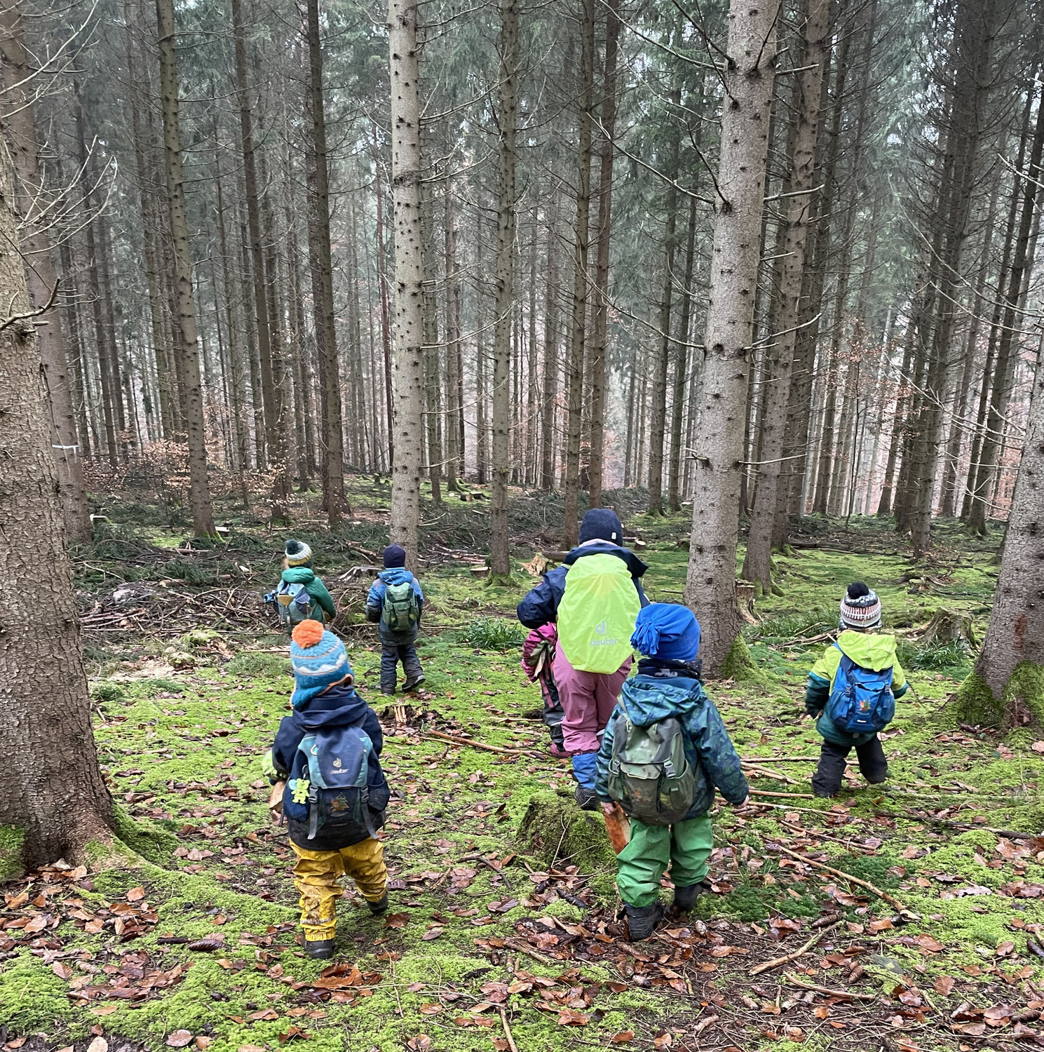 Vorteile und Nachteile eines Waldkindergartens: Was spricht dafür und was dagegen?