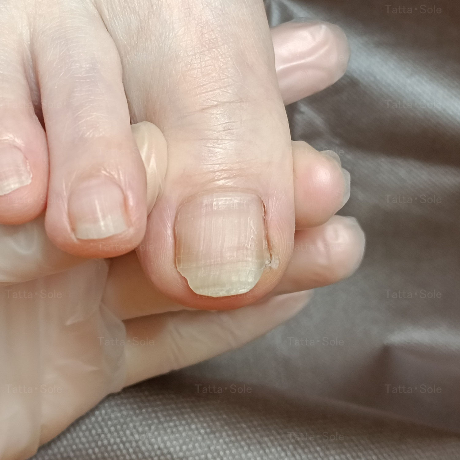 切り方が自己流になってきたのでメンテナンスにきました