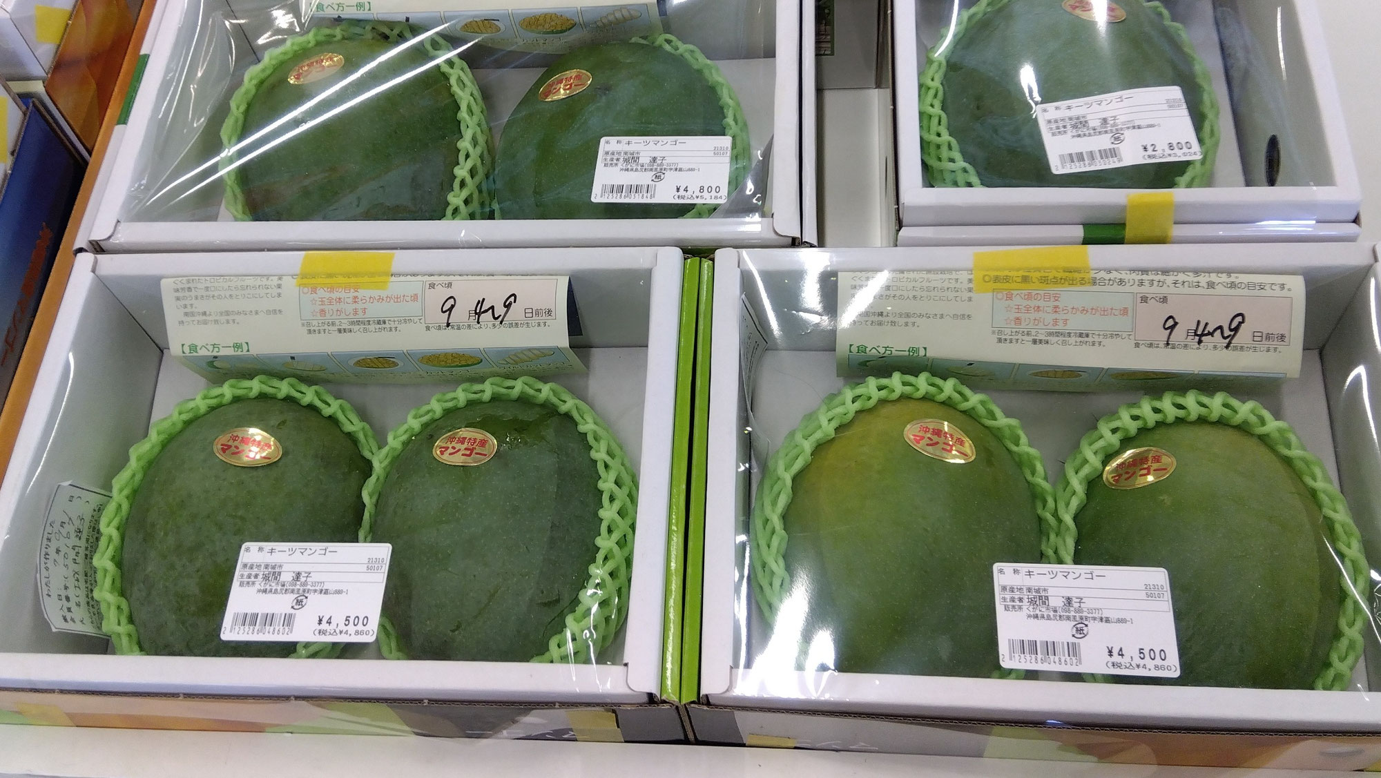 マンゴー買うならここに行け！ファーマーズはマンゴーが安い。
