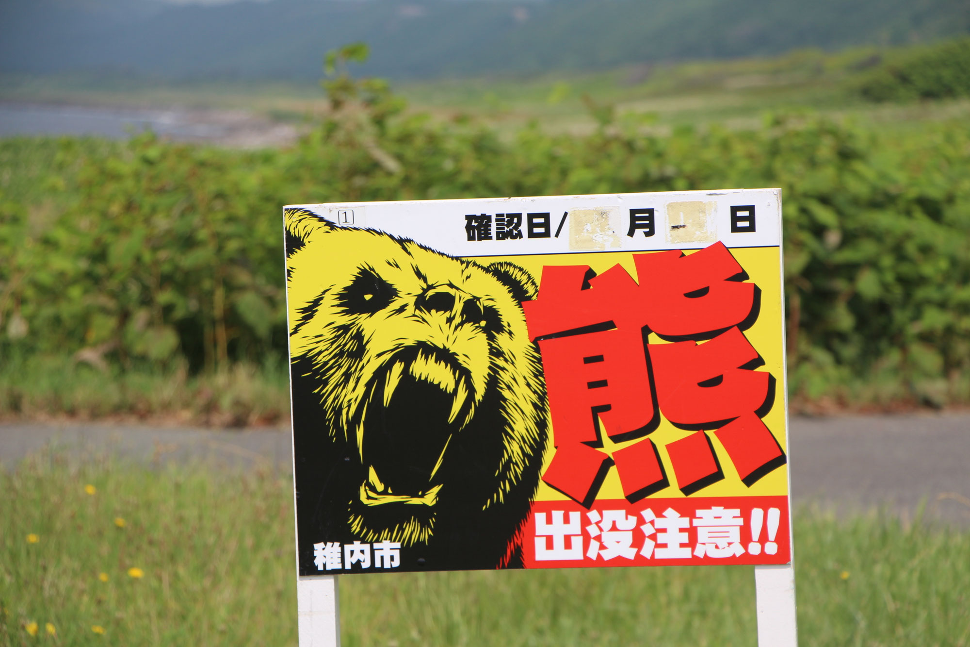 ハブとヒグマやばいのはどっちだ？
