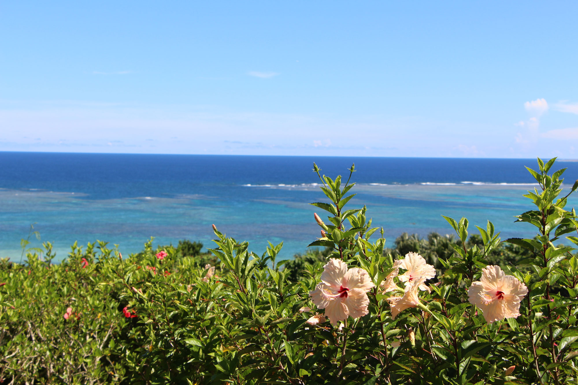 沖縄は都道府県別「幸福度」ランキング第1位。