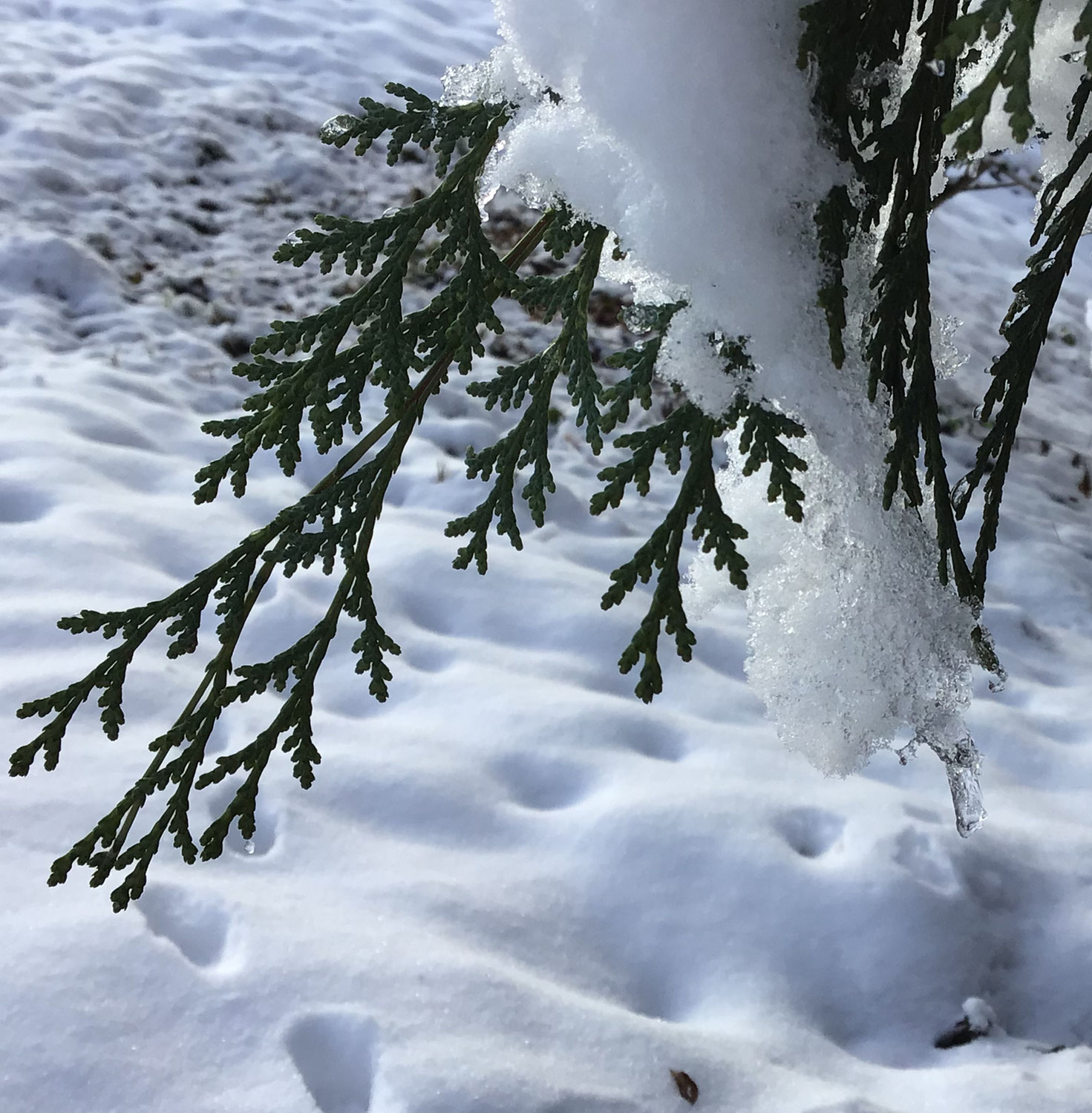 Wintermärchen