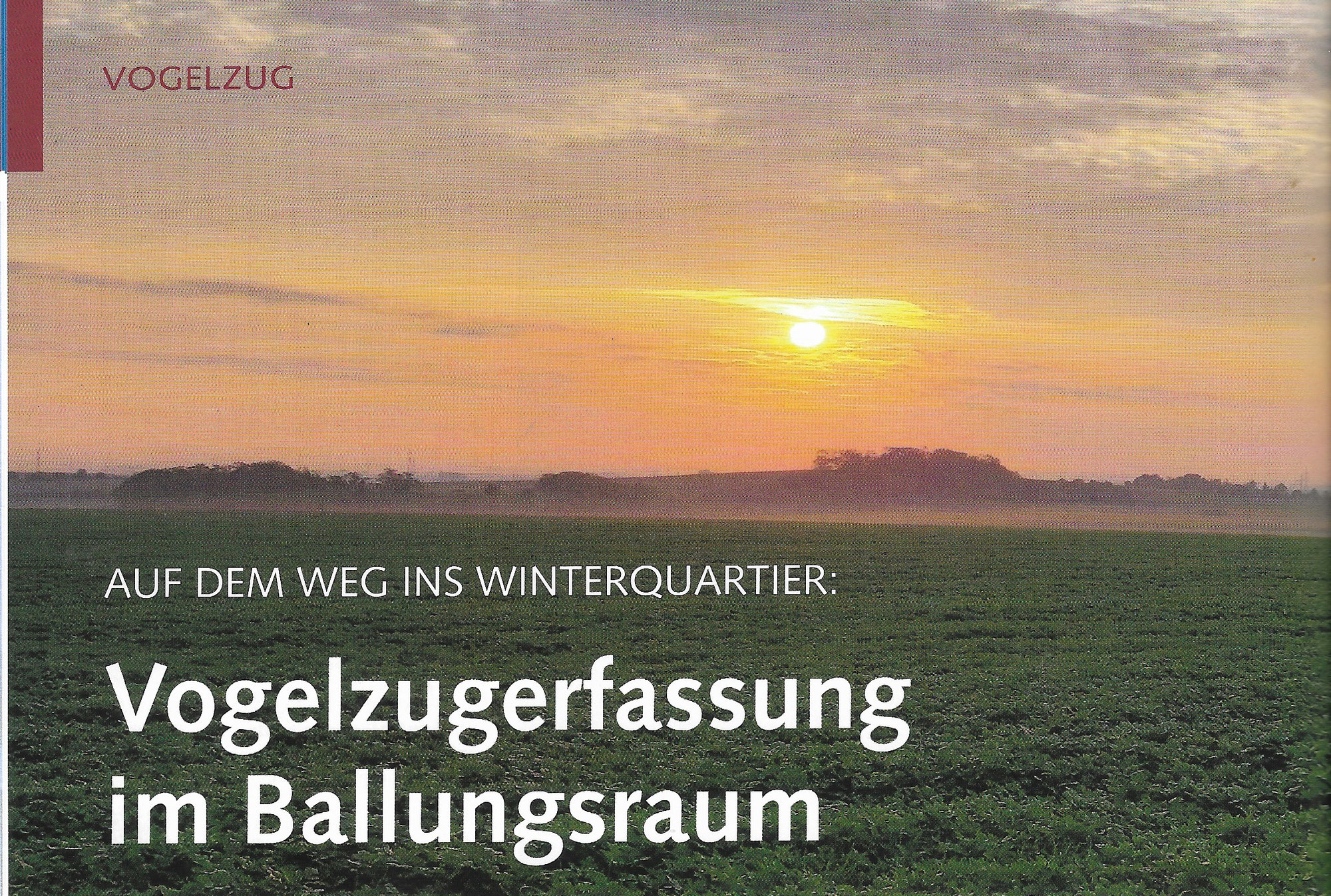 Artikel zum Regenpfeiferacker von Jochen Völlm