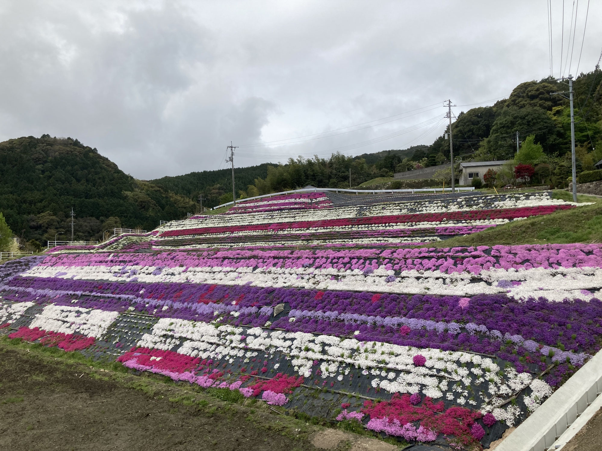 レインボー山口セミナーに初参加しました