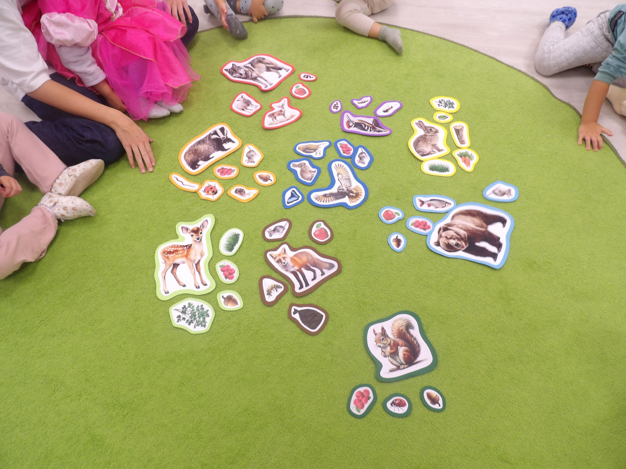 Wir entdecken die Waldtiere