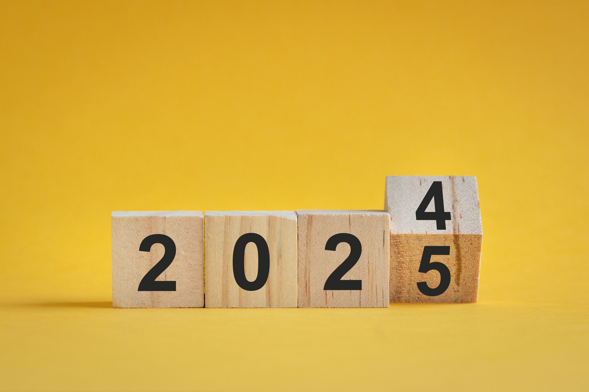 Jahresrückblick 2024: Was uns beschäftigt hat