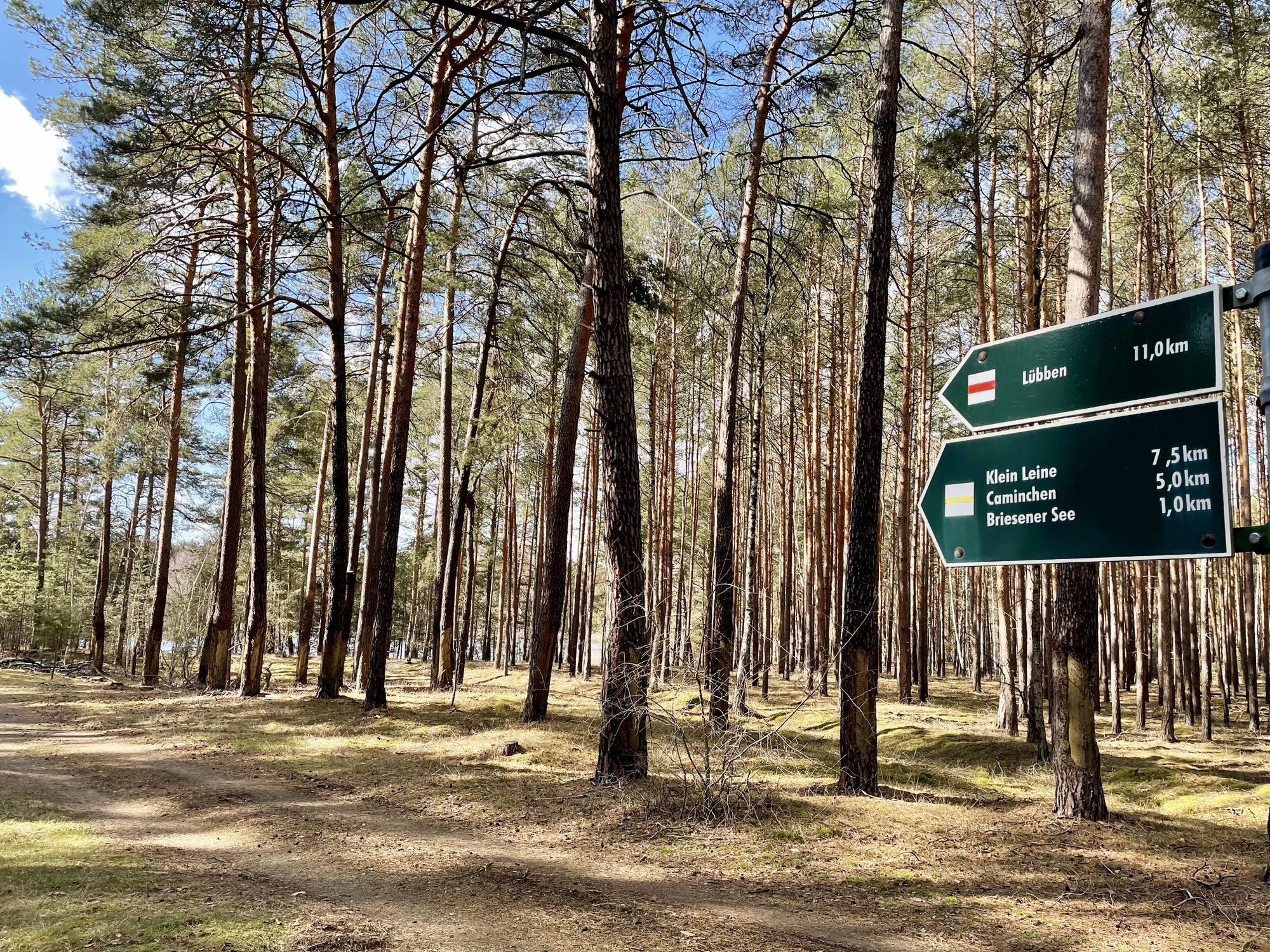 3-Seen-Wanderung im Spreewald. Caminchen - Klein Leine - Briesensee - Caminchen.