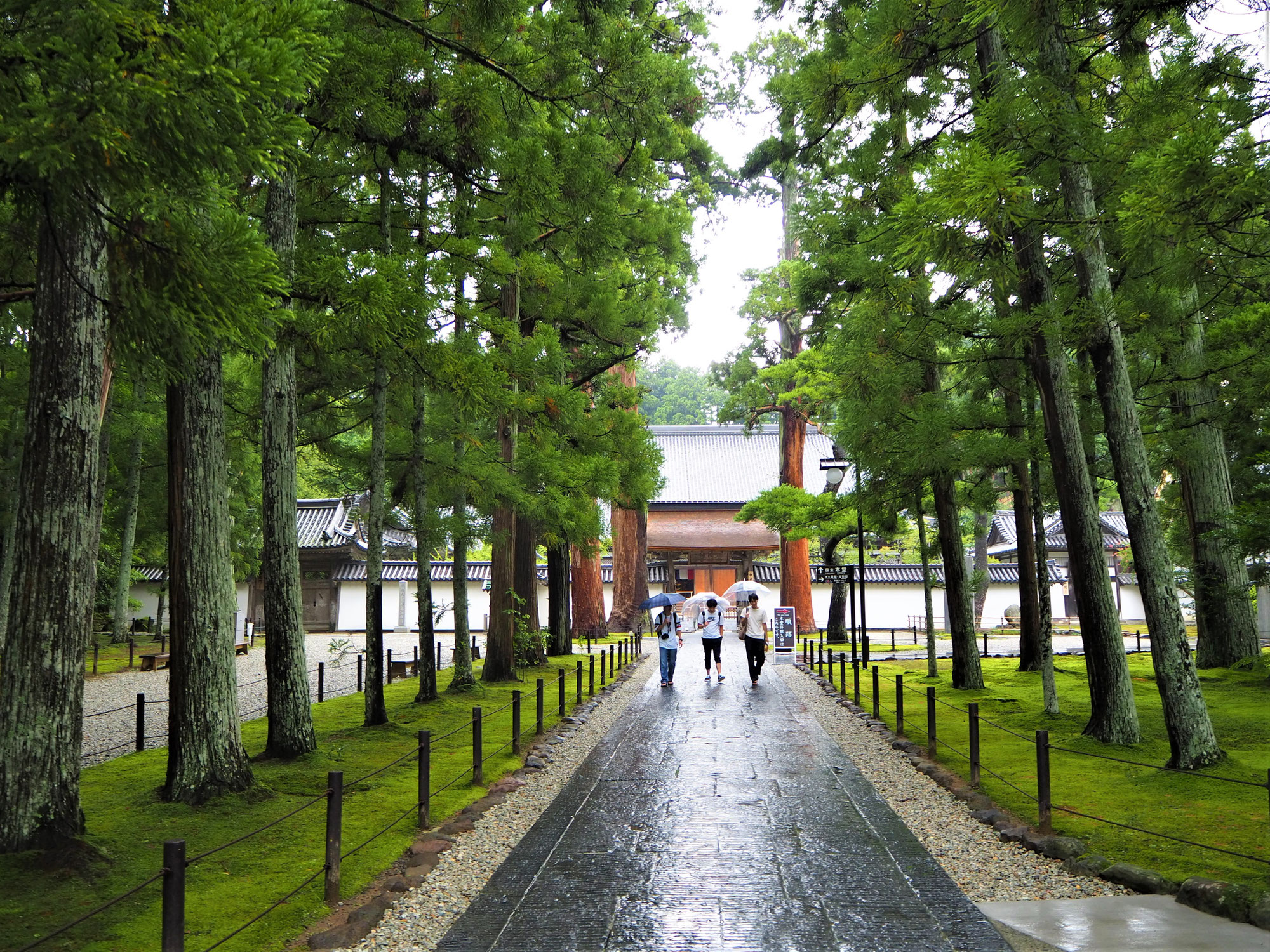 英語で日本を学ぼう 志塾あるま まーた 英語で日本を学ぼう 志塾あるま まーた