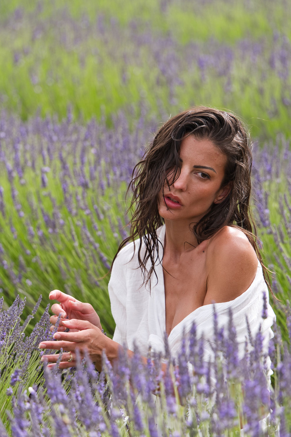 MASTERCLASS LUBERON