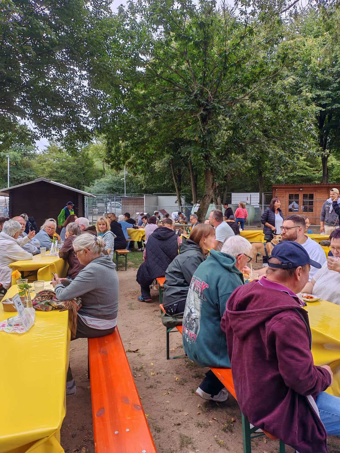 Sommerfest 2025 Update