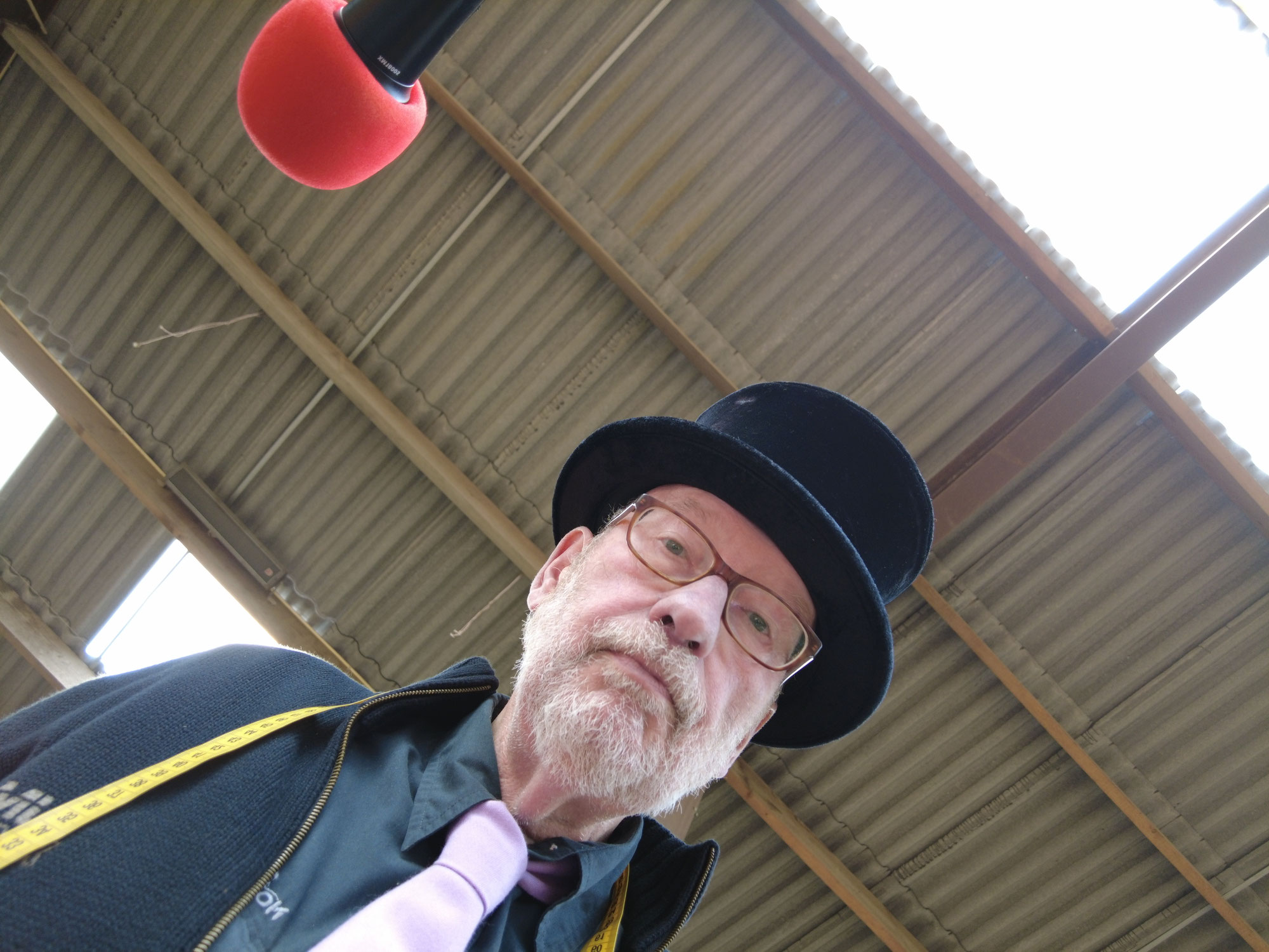 Halloween Agility Cup