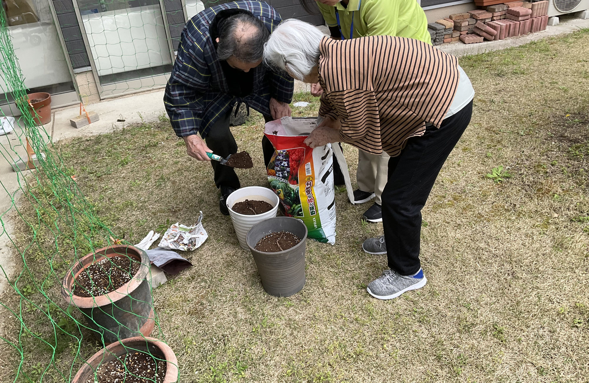 ホップの苗？植え【グループホーム虹】