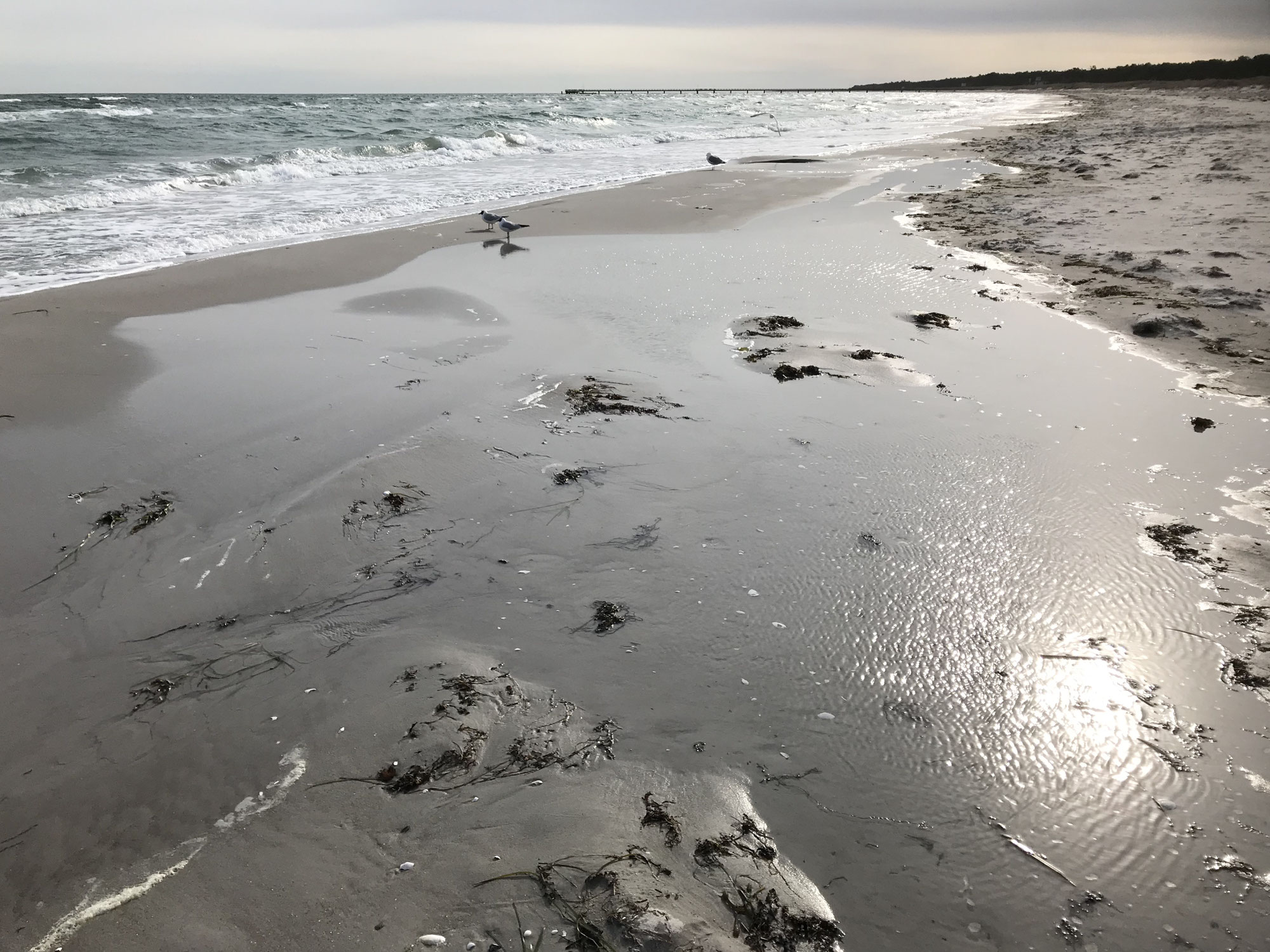 Von Angst bis Mut... clever oder naiv... Ente oder Adler?