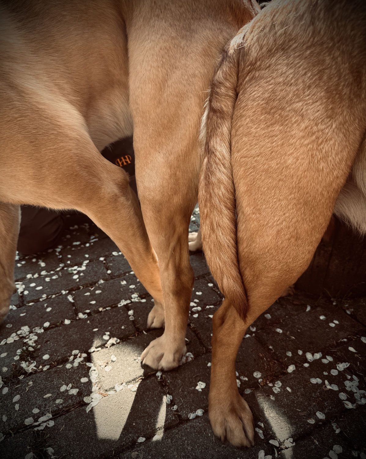 Beasley wurde gedeckt