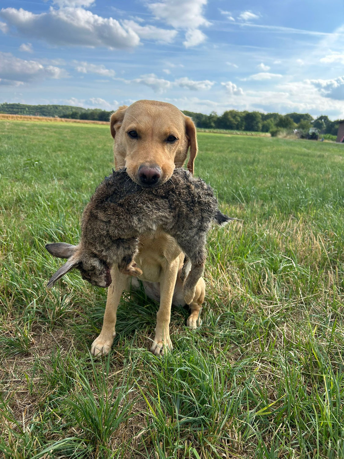 Herzlichen Glückwunsch Trust your nose Fantastic Ylvie