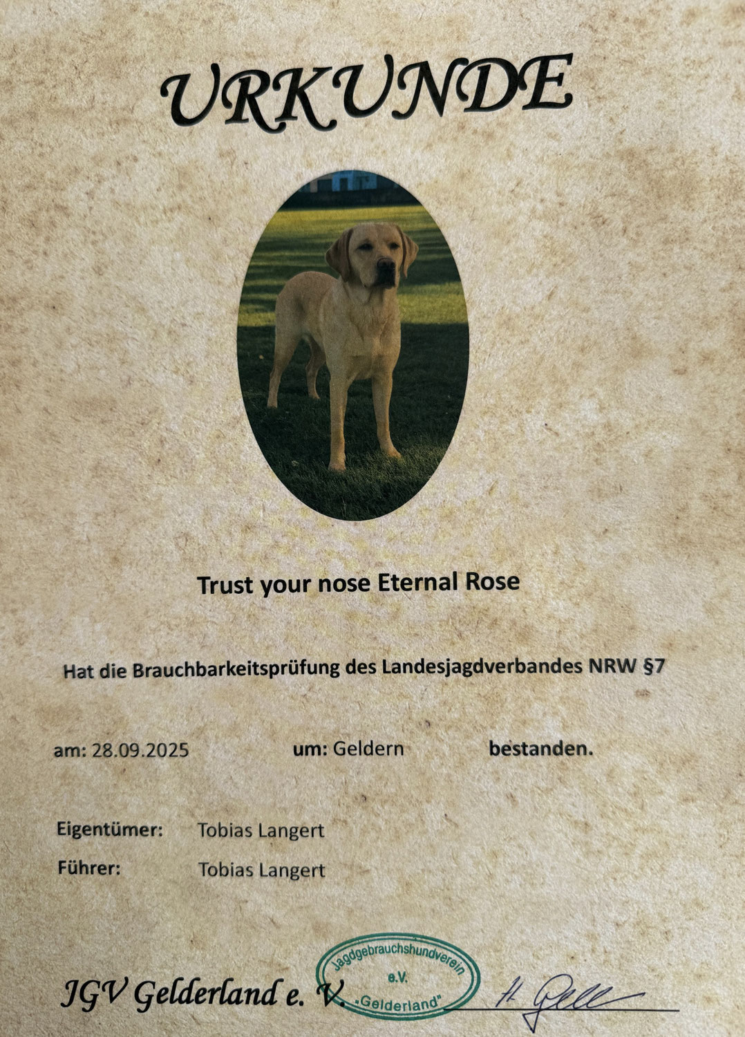 Herzlichen Glückwunsch Rose 🎉