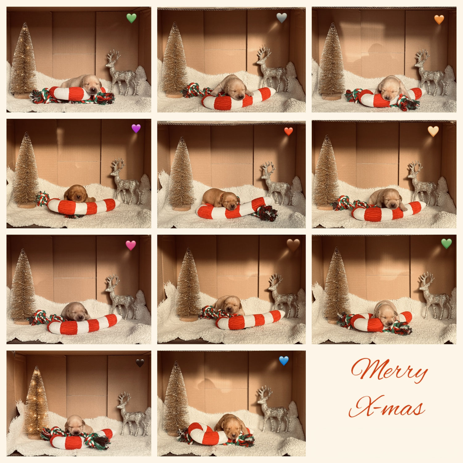 Frohe Weihnachten!