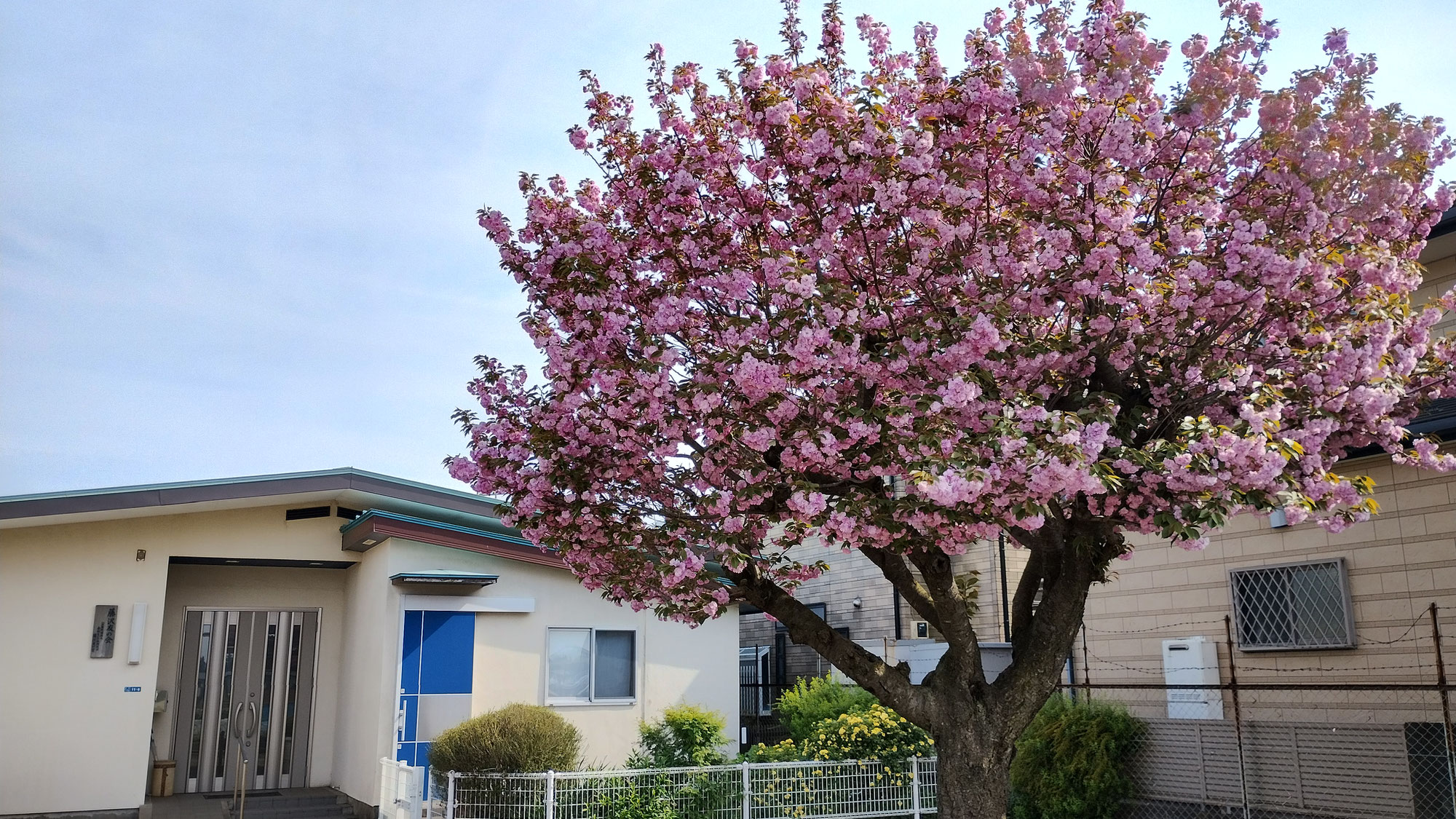 6月例会を開催しました