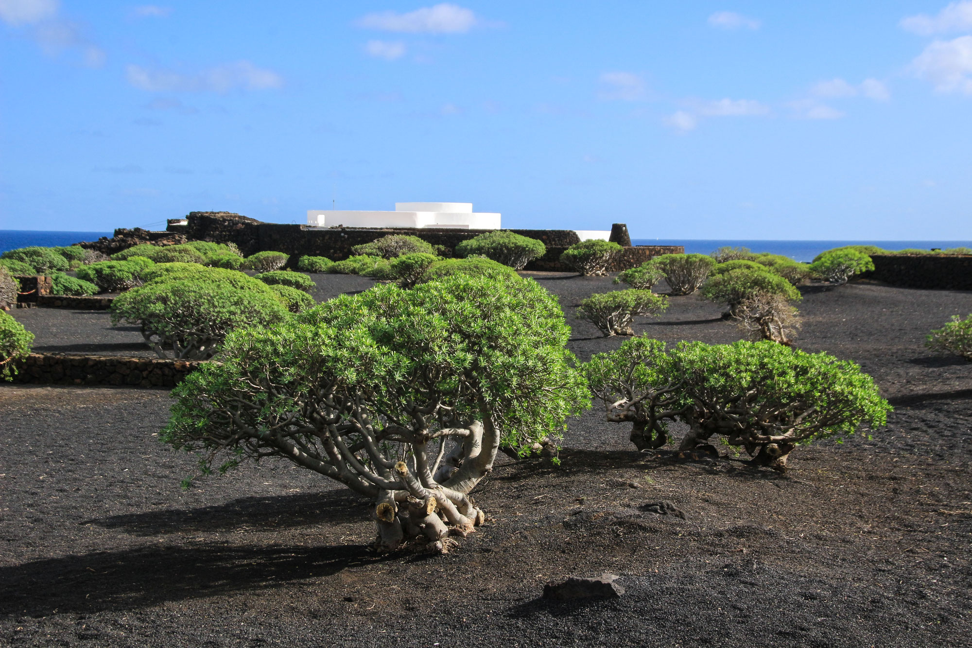 Tag 7, Lanzarote