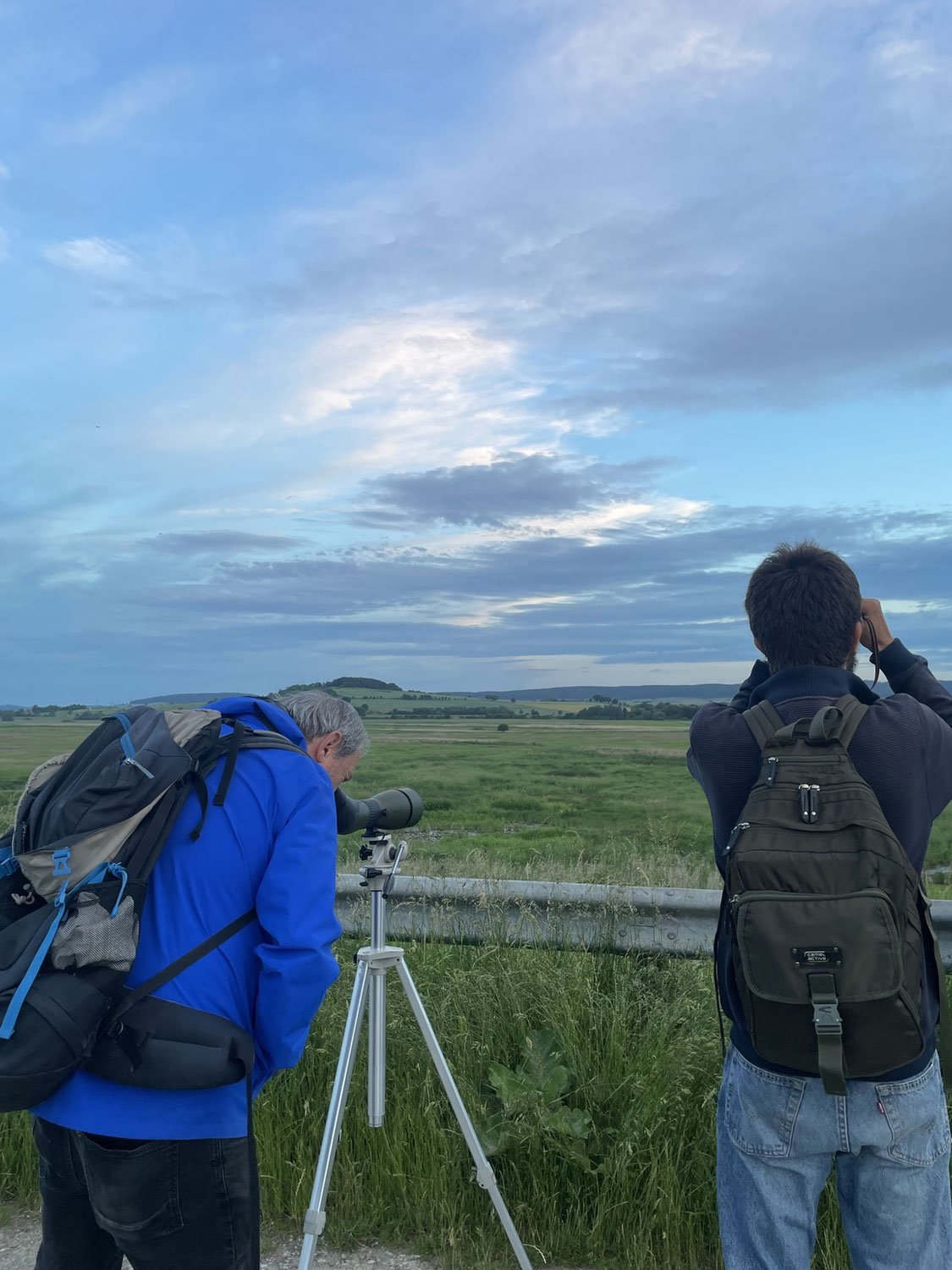 Vogelexkursion zum Leinepolder Salzderhelden