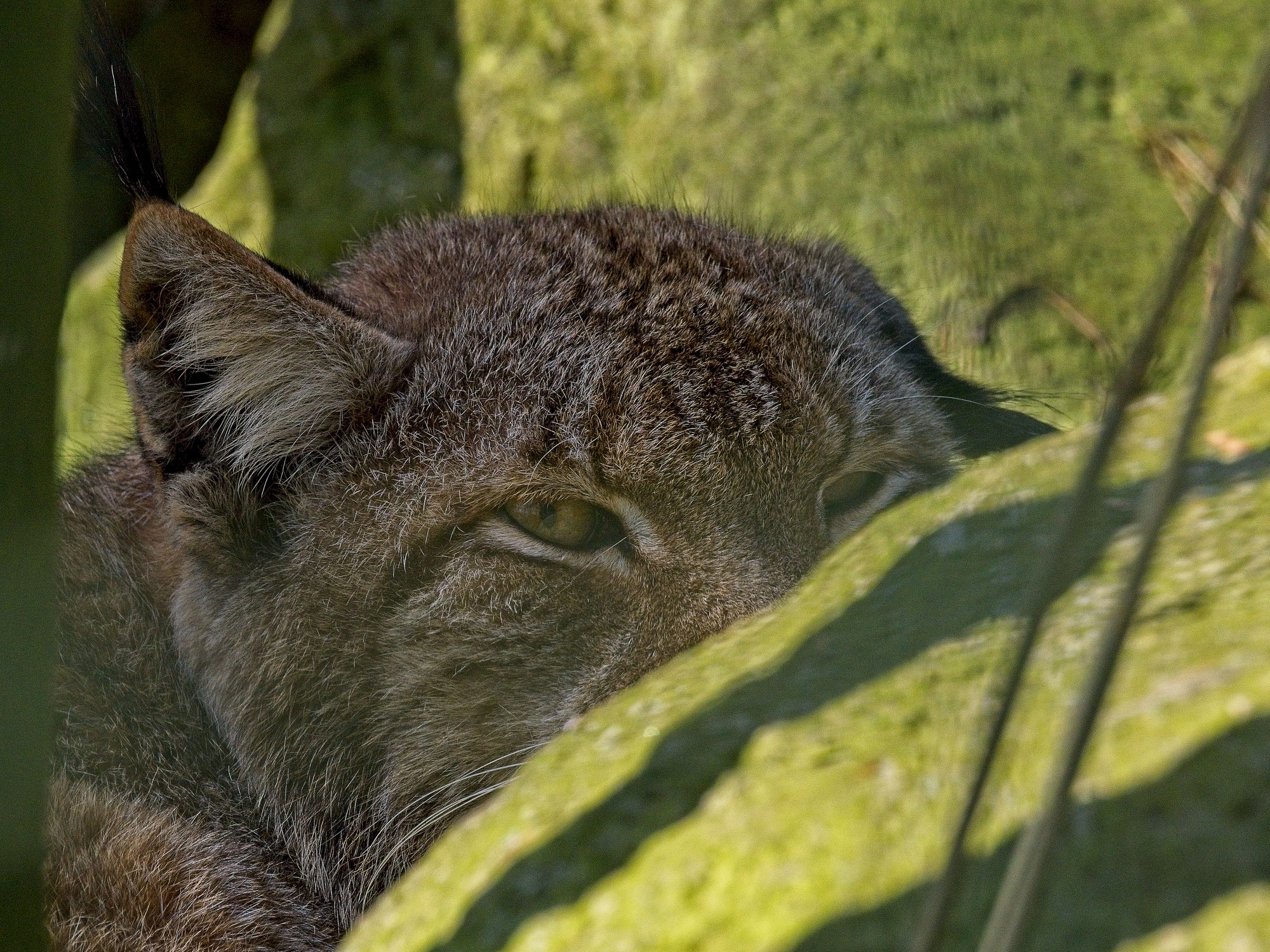 Tierpark mit Erinnerungen