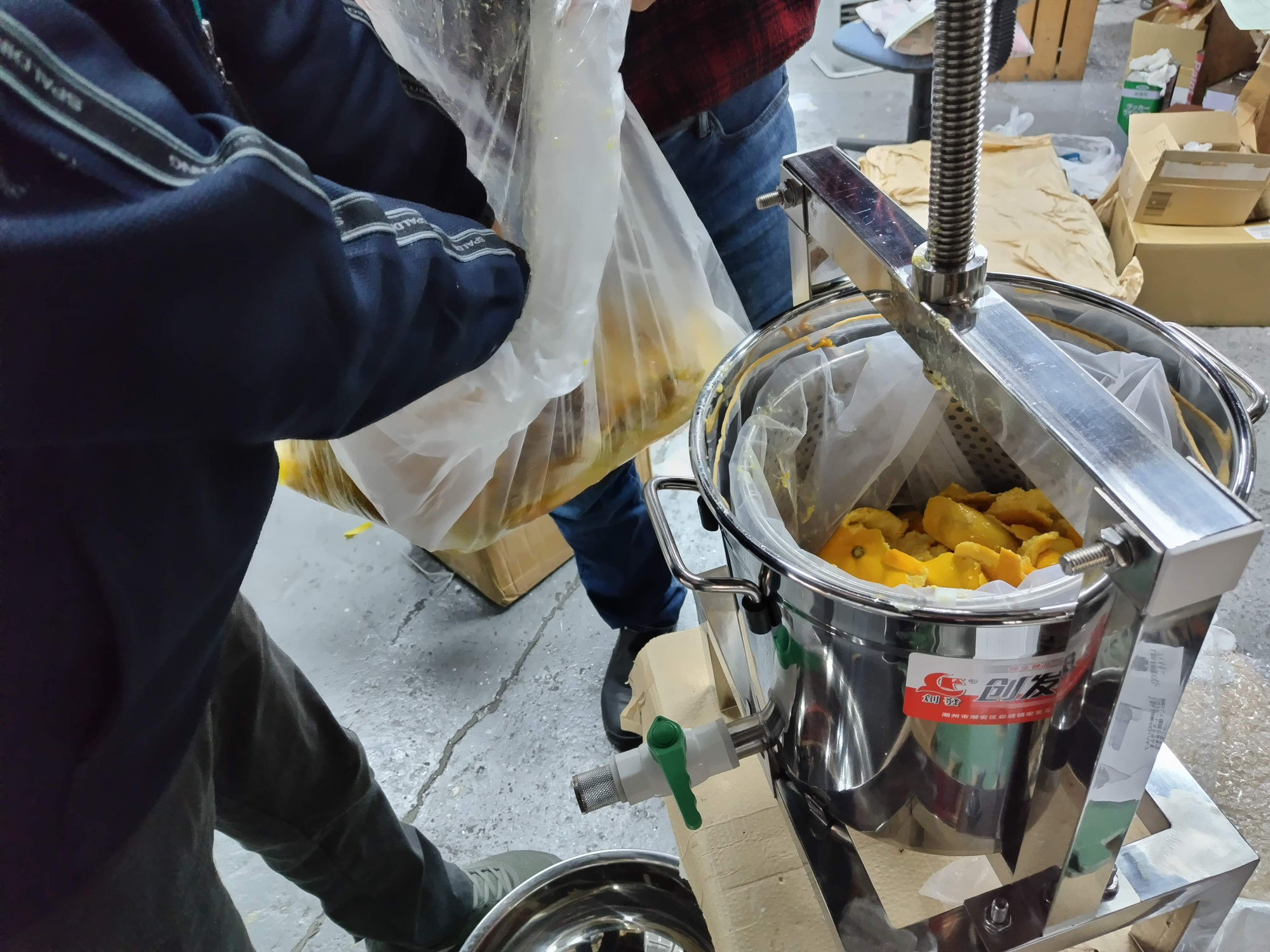 売り物にならないミカンで精油の抽出