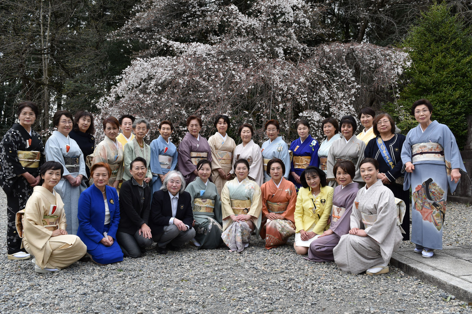 お花見チャリティー茶会