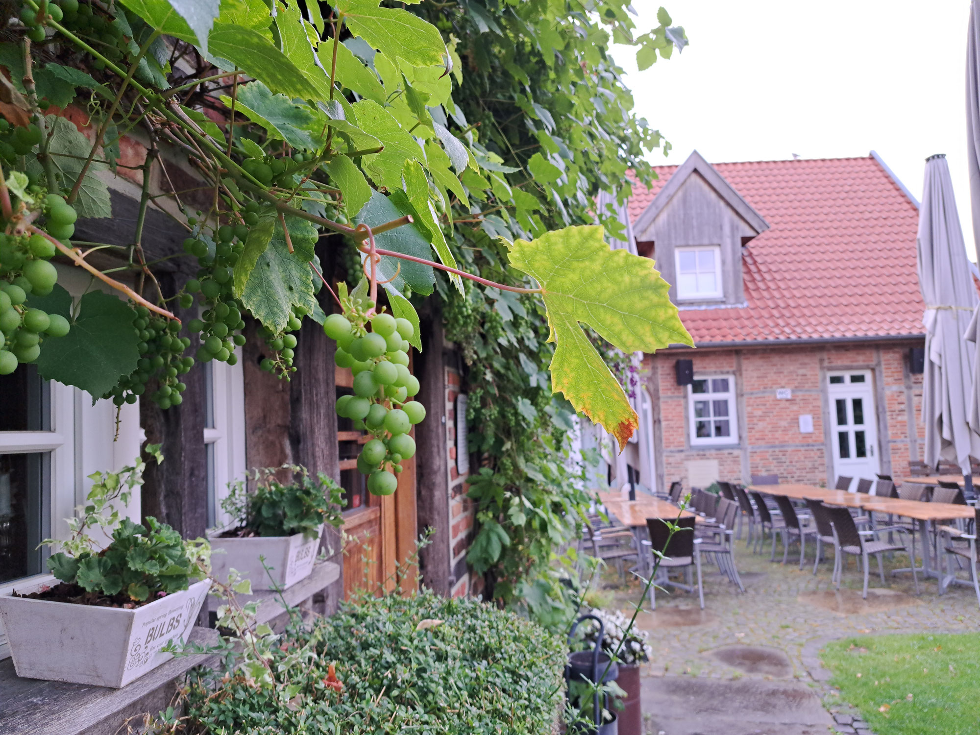 Weinfest am 30.08.2025