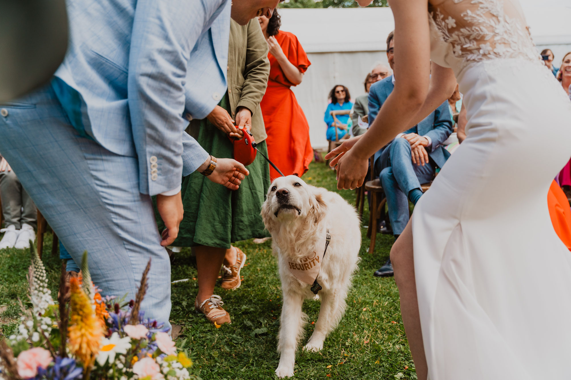 Authentieke bruiloft met reuzebrownie & openingsdans met hond