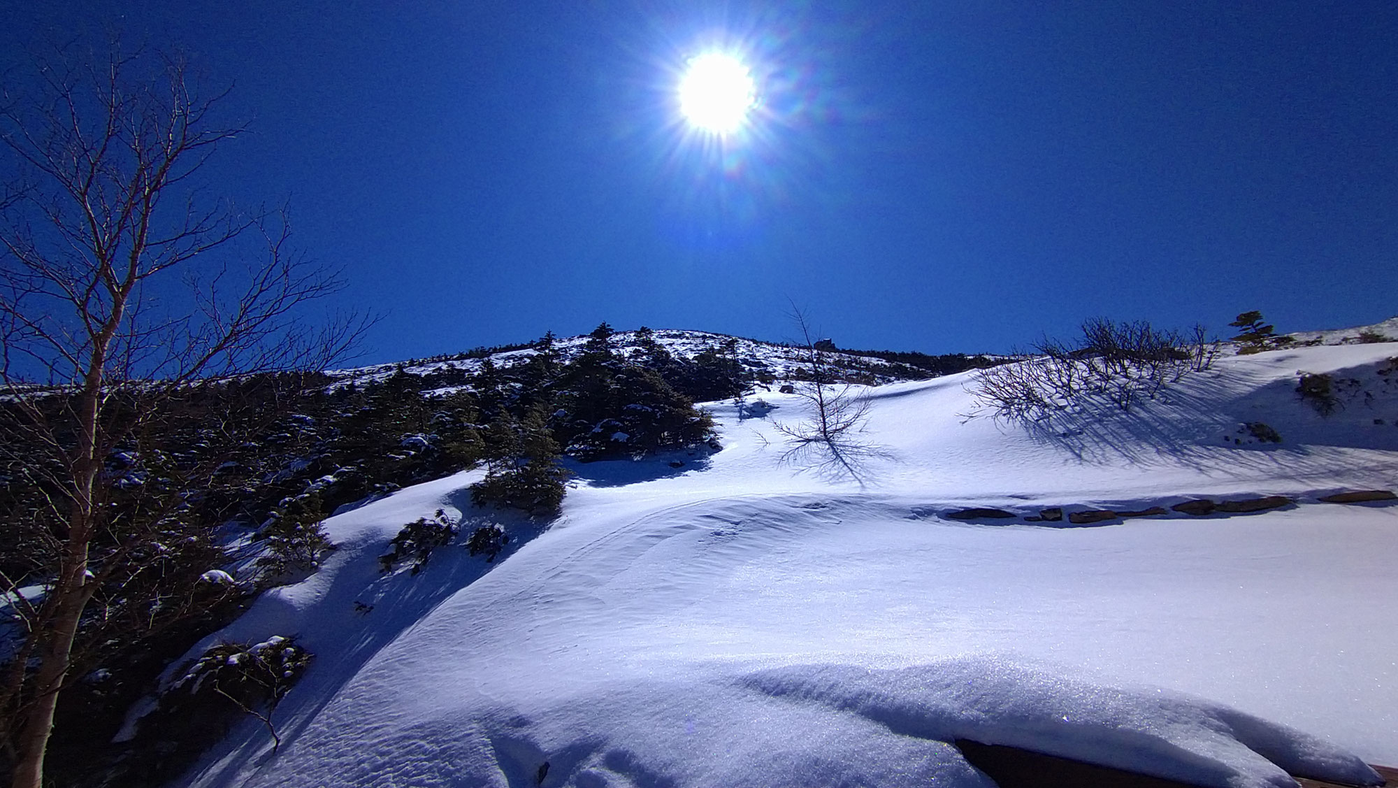 2026八ヶ岳残雪情報