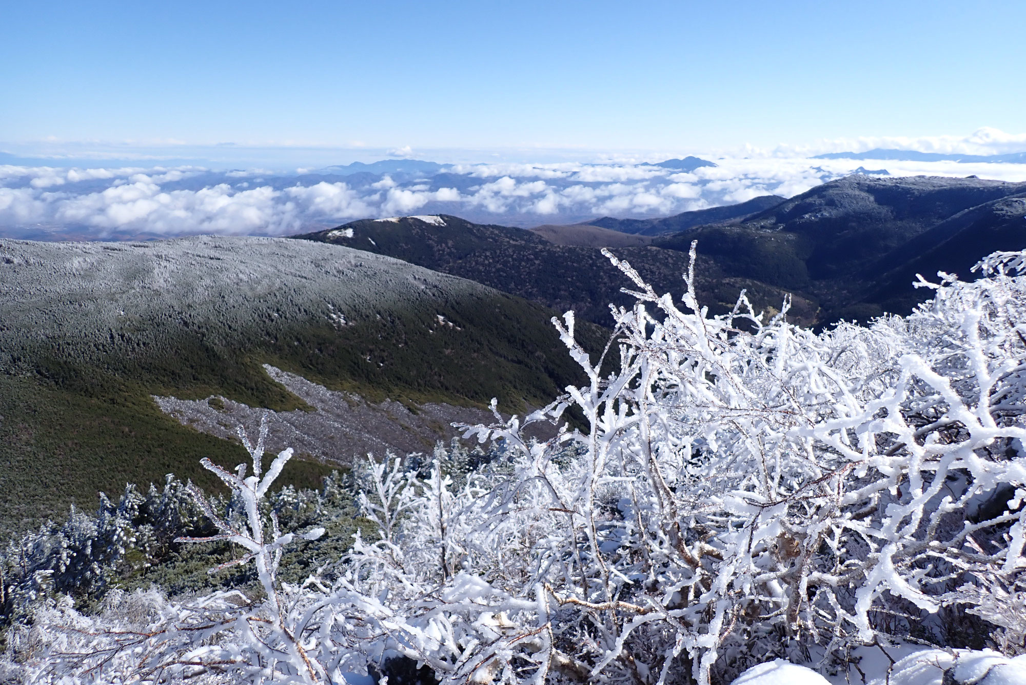 2024八ヶ岳積雪情報