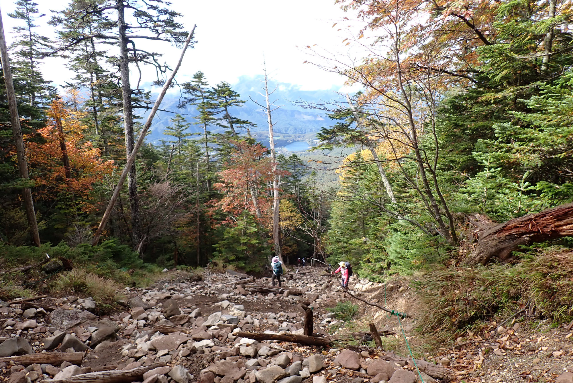 初心者向き秋の蓼科山登山ツアー　参加者の声