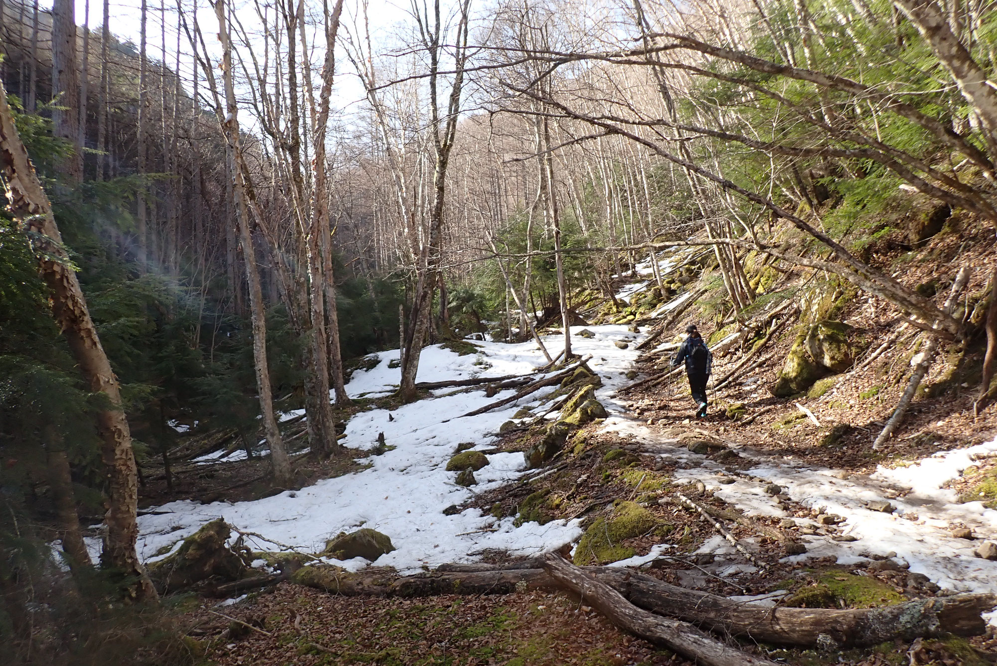 甲武信岳　残雪期登山