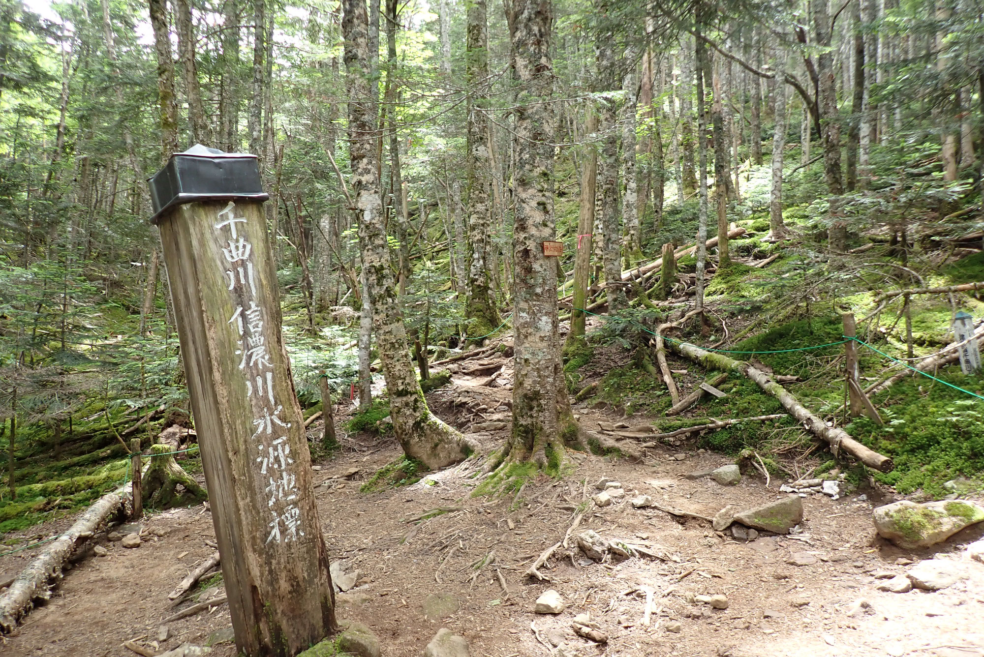 日本百名山　甲武信ヶ岳登山　参加者の声