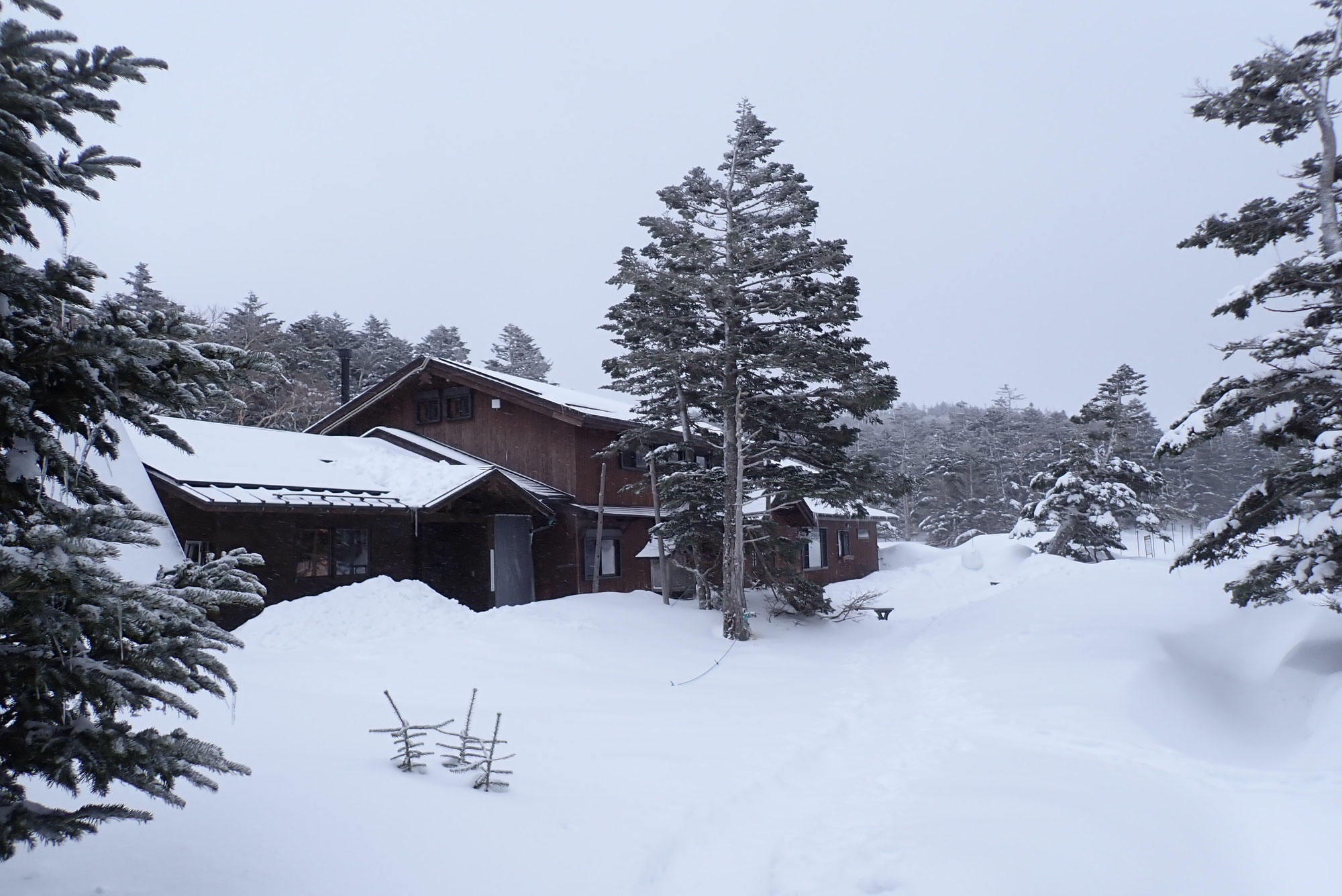八ヶ岳・黒百合平雪上講習登山ツアー