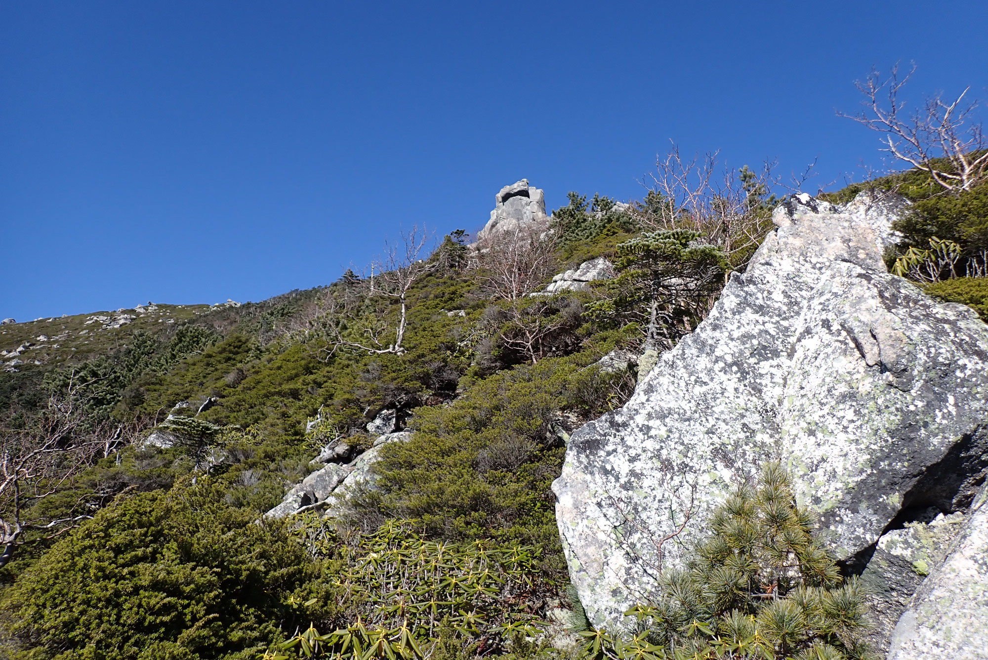 金峰山の表参道　御嶽古道コース紹介