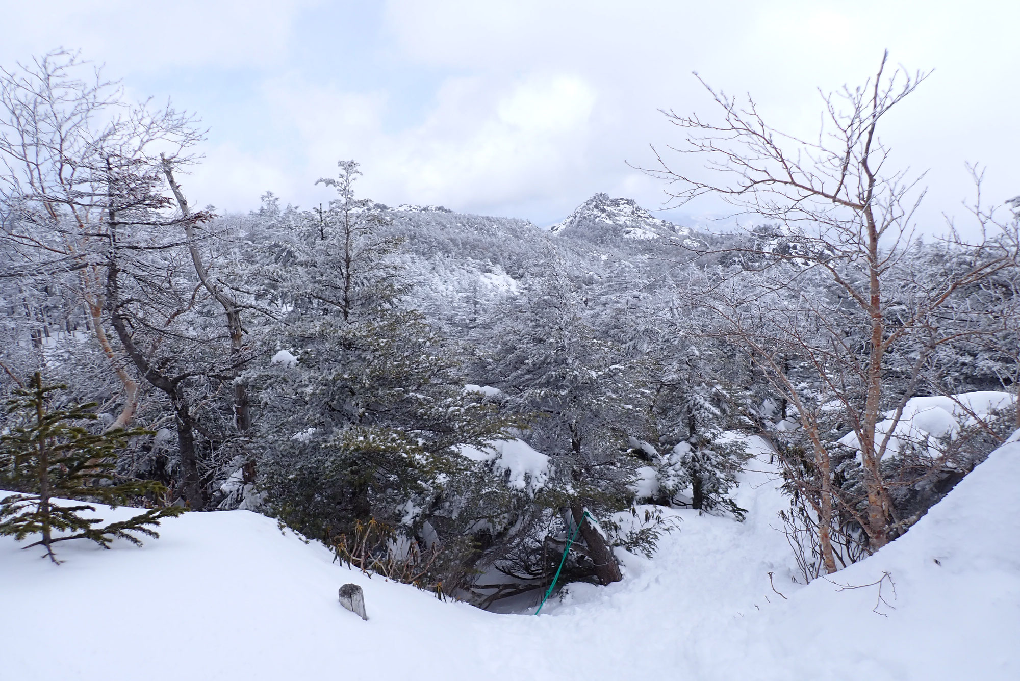 最大積雪深の北横岳ツアー