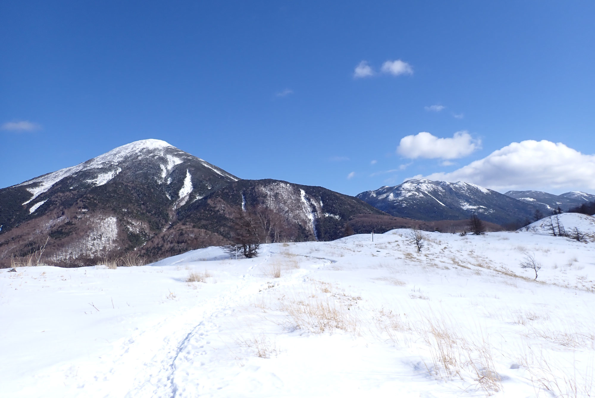 八子ヶ峰　すずらん峠～中峰　スノーシューコース